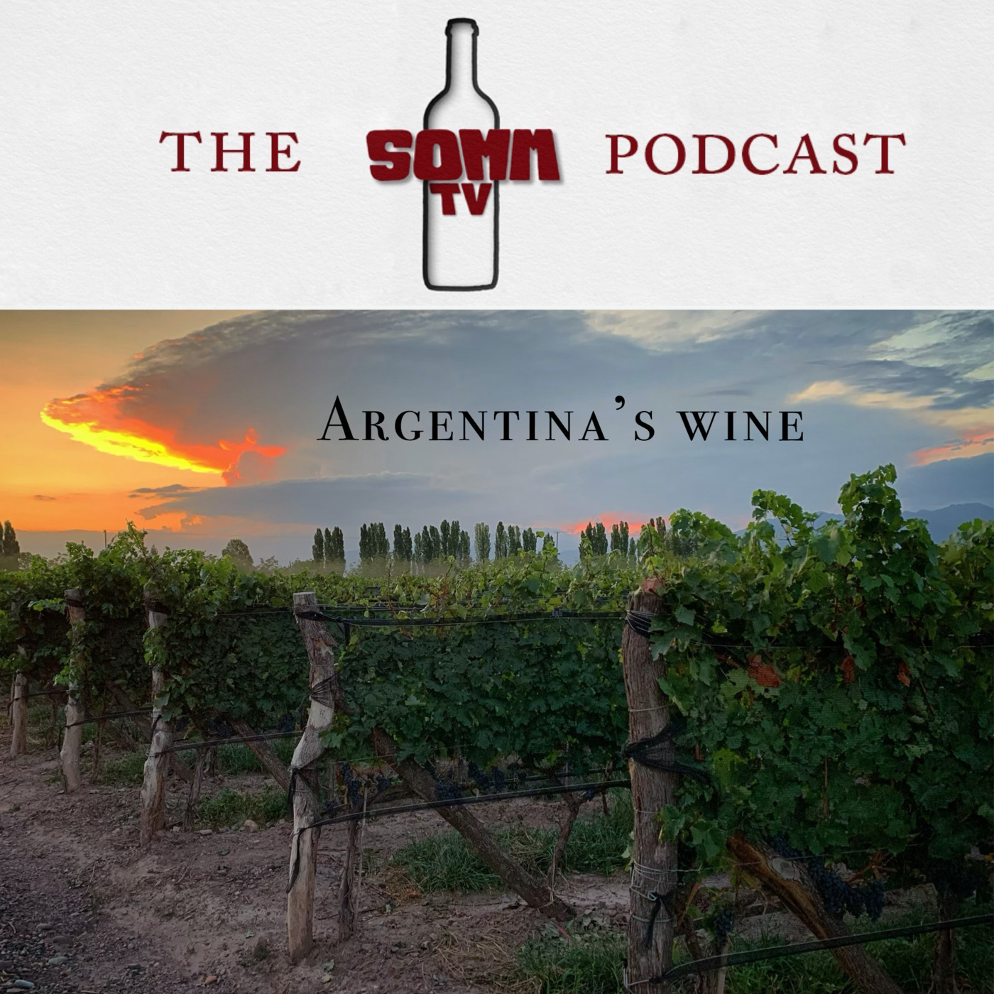 Episode 211: Argentina's Wine