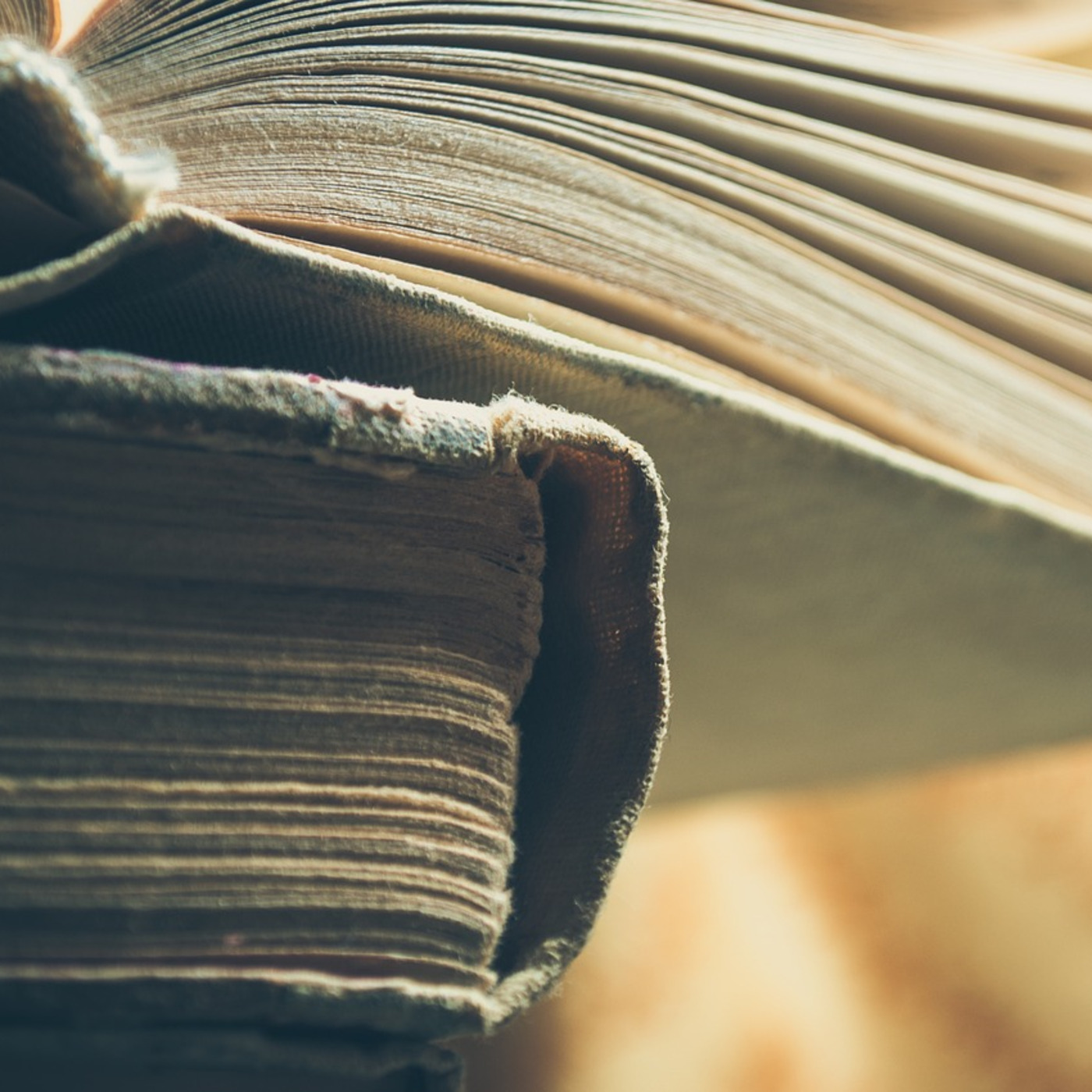 UNGpodden - podden för dig som älskar ungdomslitteratur!