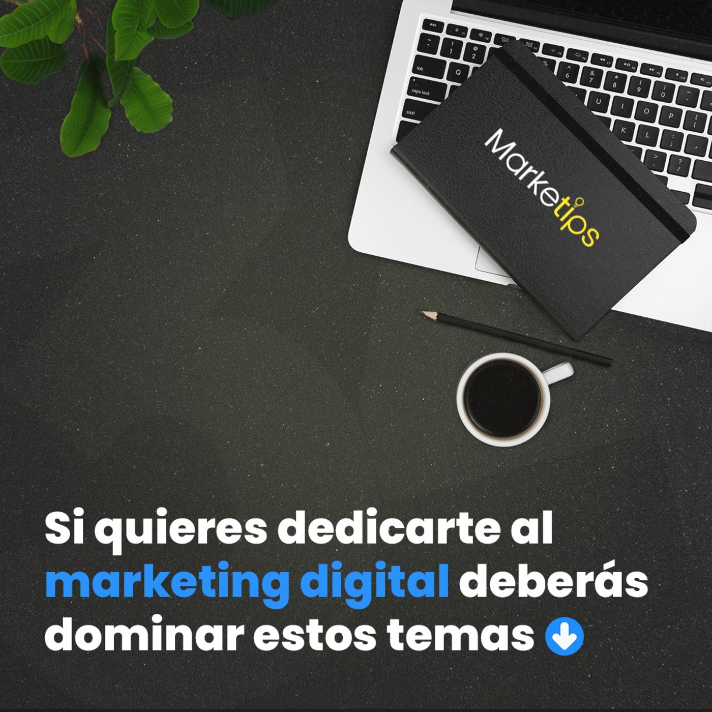 Marketips