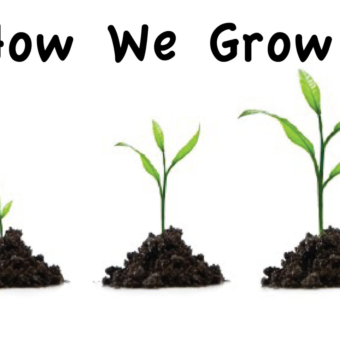 How the Bible Helps Us Grow episode artwork