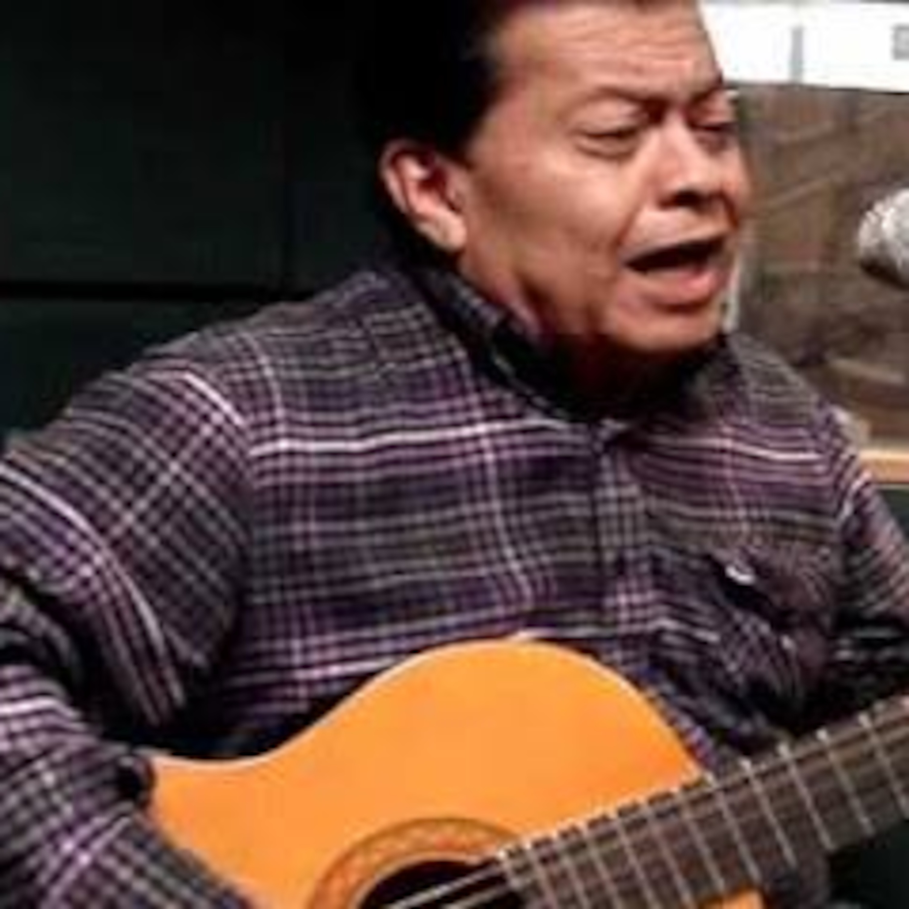 El Estudio Verde y Oro