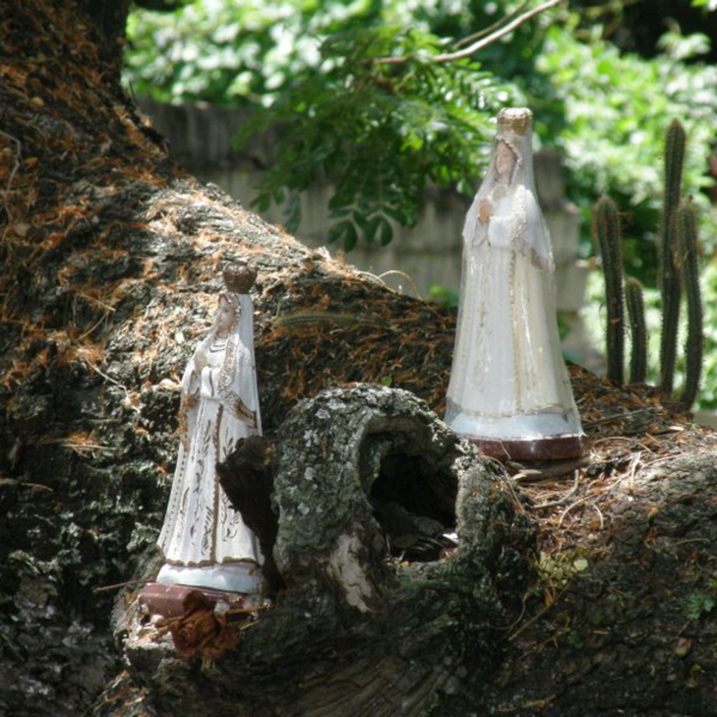 Arboles de Margarita episode artwork