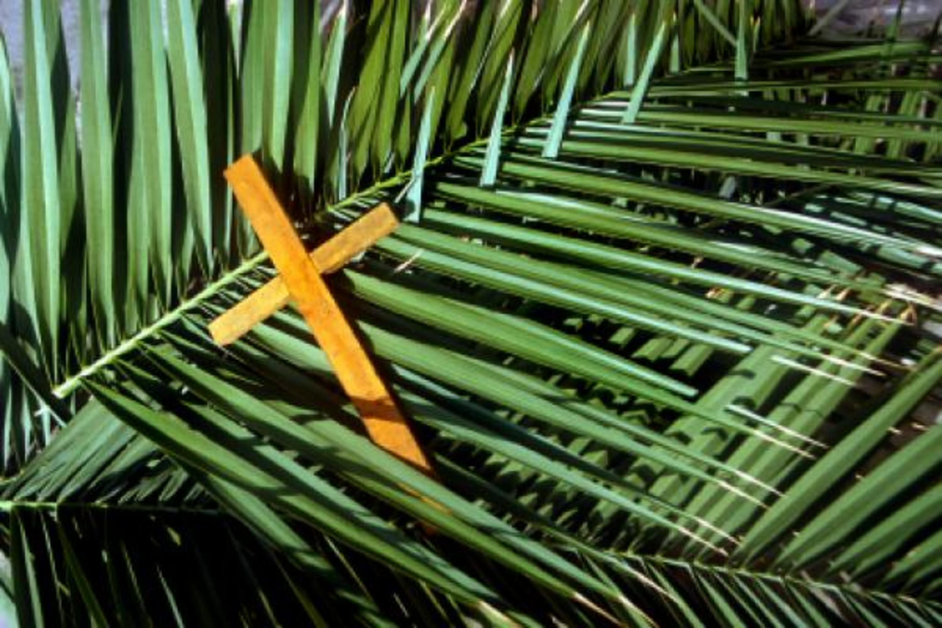 Sermons of Lutheran Church of Our Savior -- Winnebago, MN
