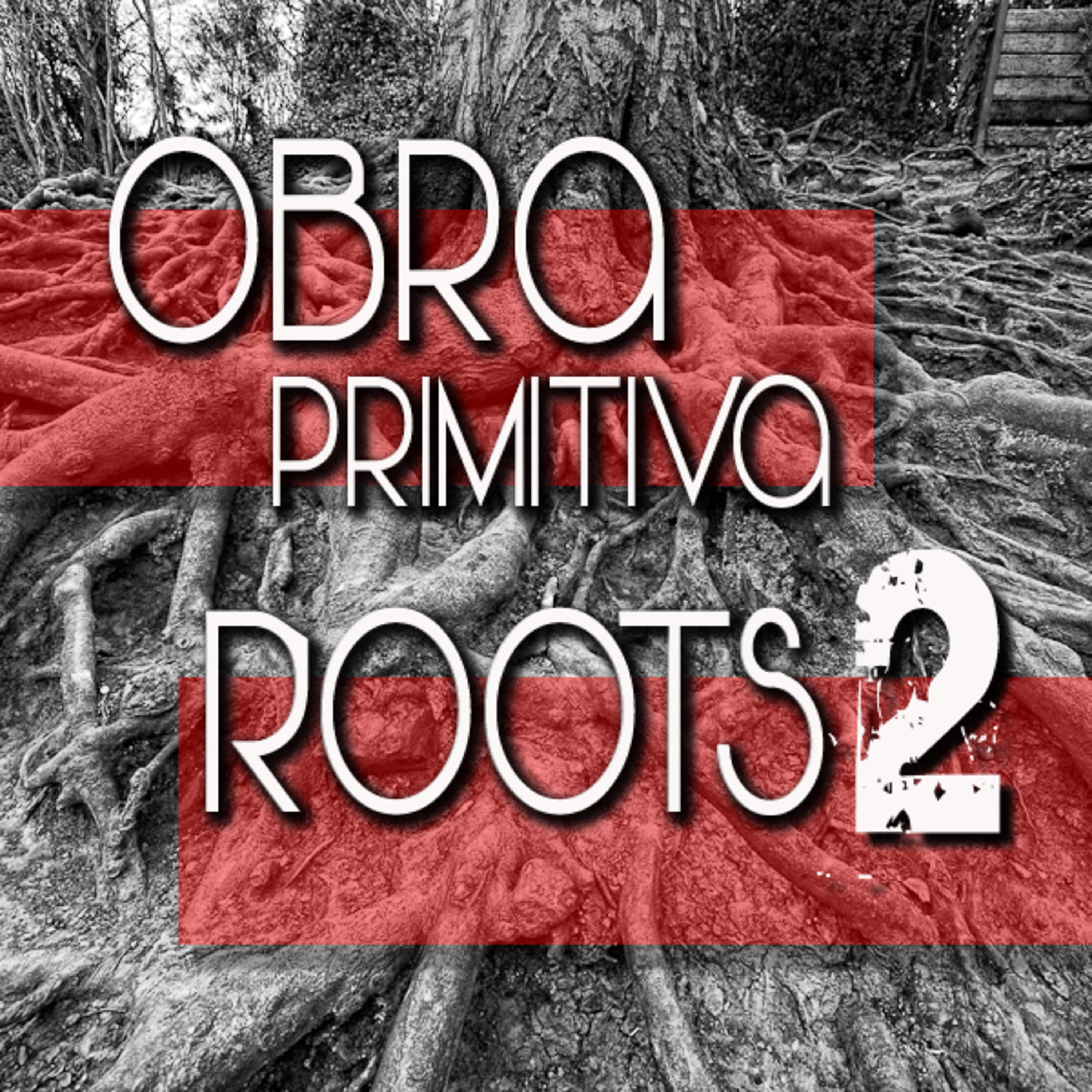 House of OBRA PRIMITIVA