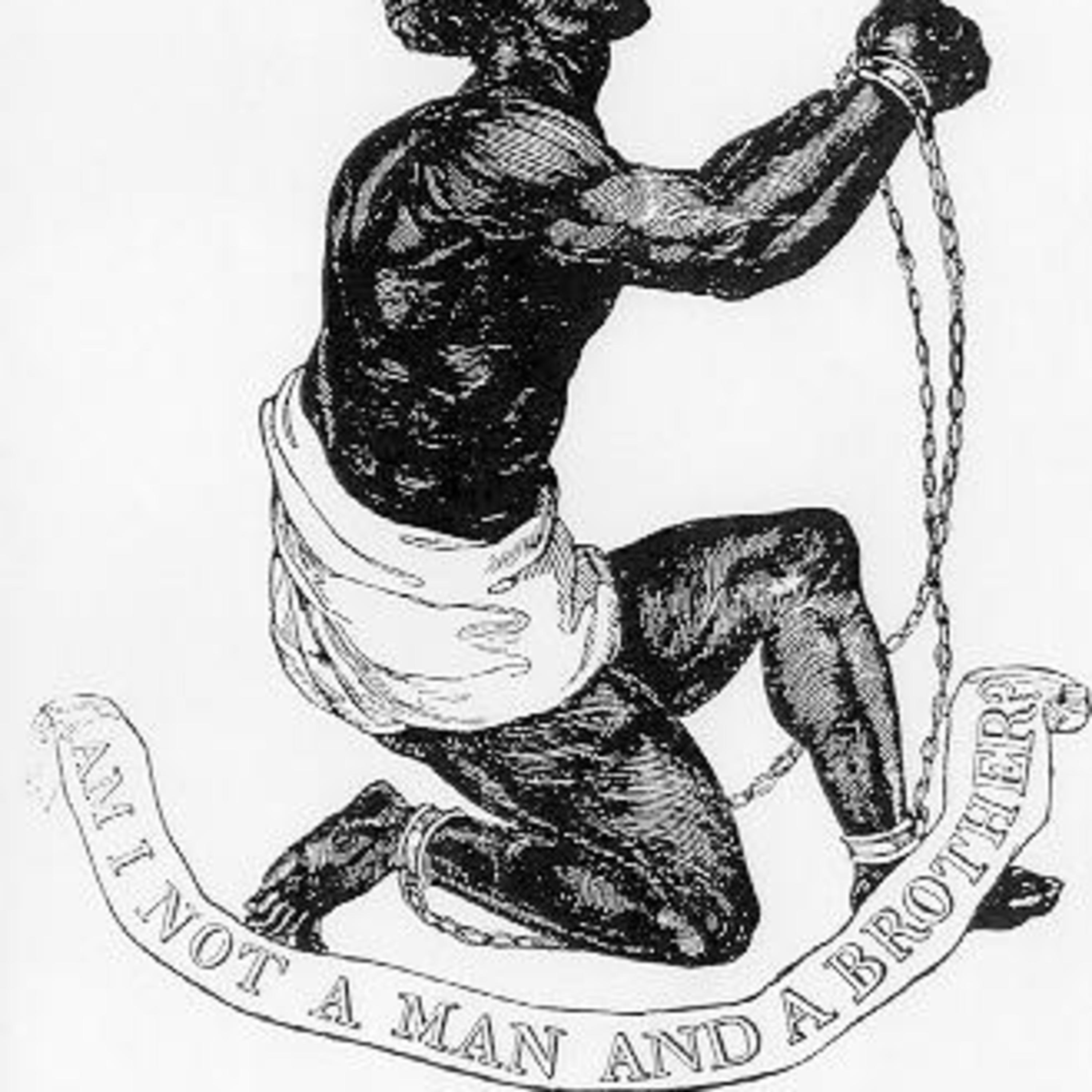 Is Israel a Home-Born Slave? episode artwork