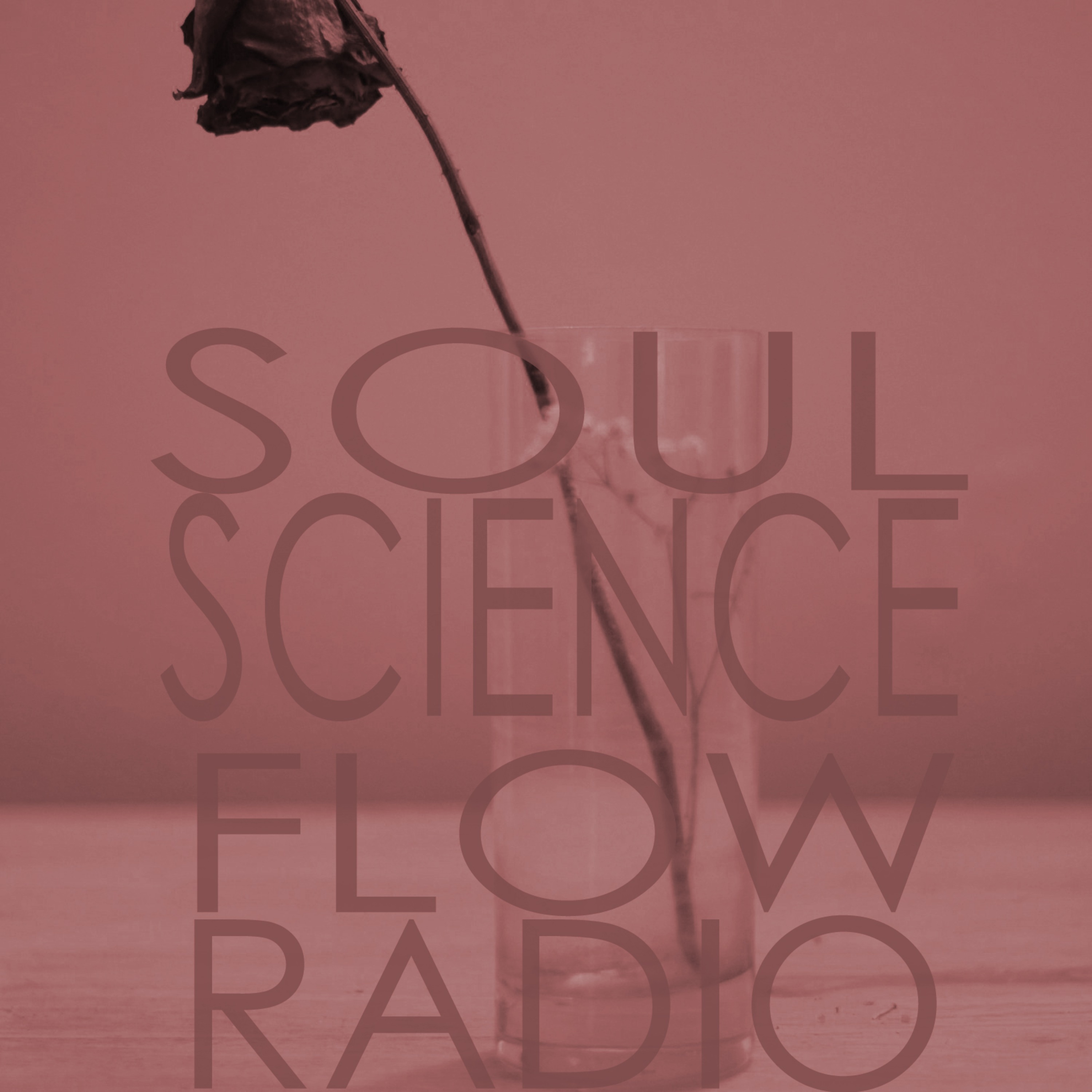 Soul Science Flow Radio\'s Podcast