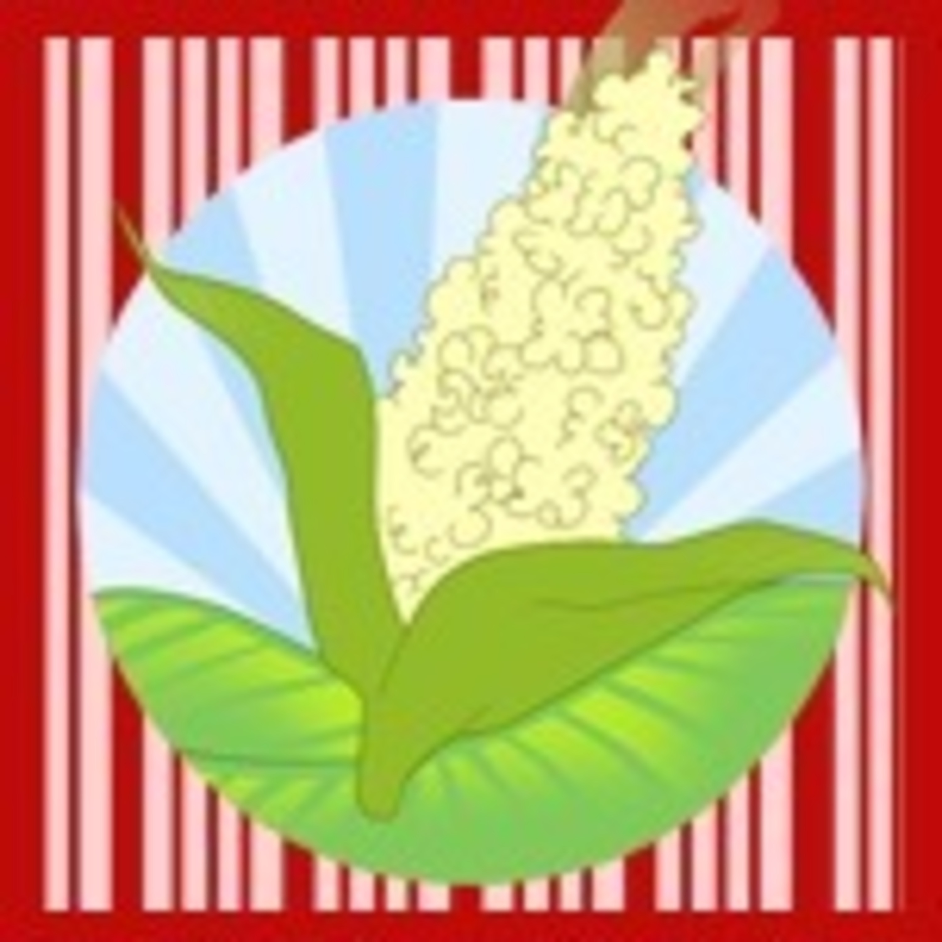 Popcorn Ranch