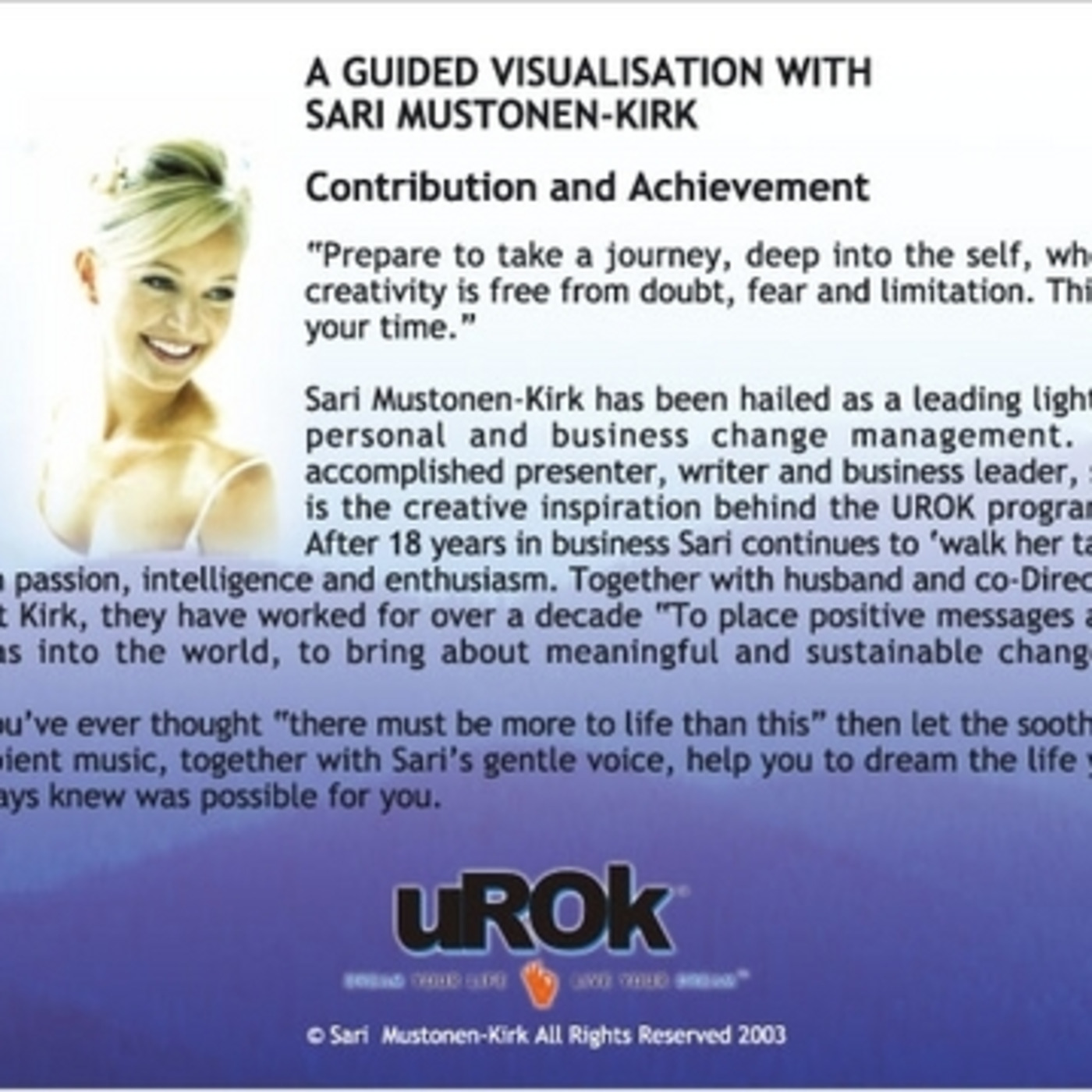 Guided Visualisation for Busy People