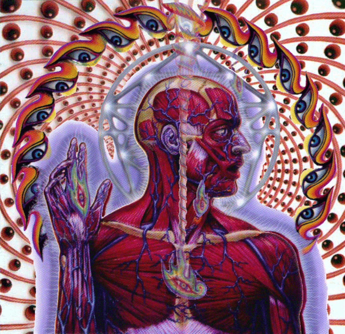 Tool art. Lateralus. Tool обложки. Tool "Lateralus (2lp)". Lateralus layers.