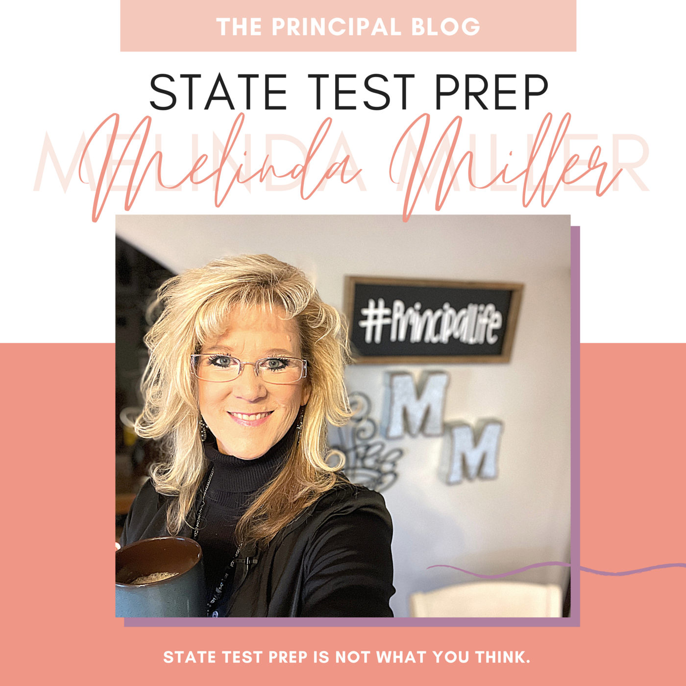 Episode 22: Prepping for State Testing episode artwork