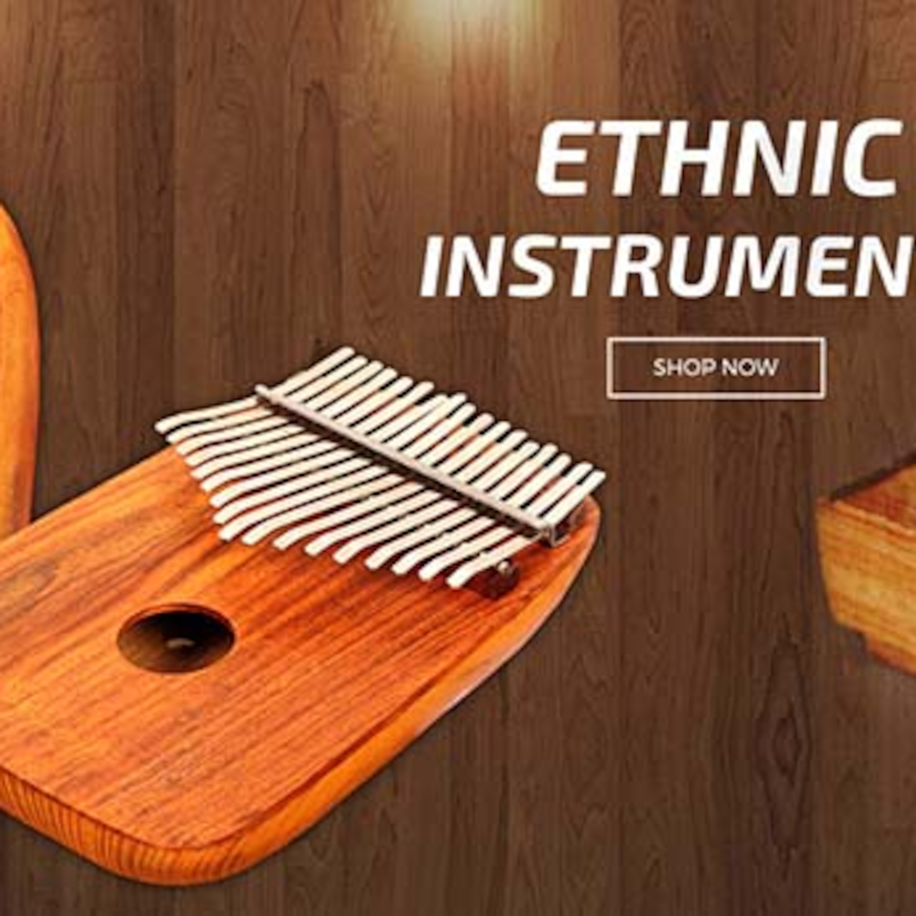 Muzikkon - Traditional Irish Instruments