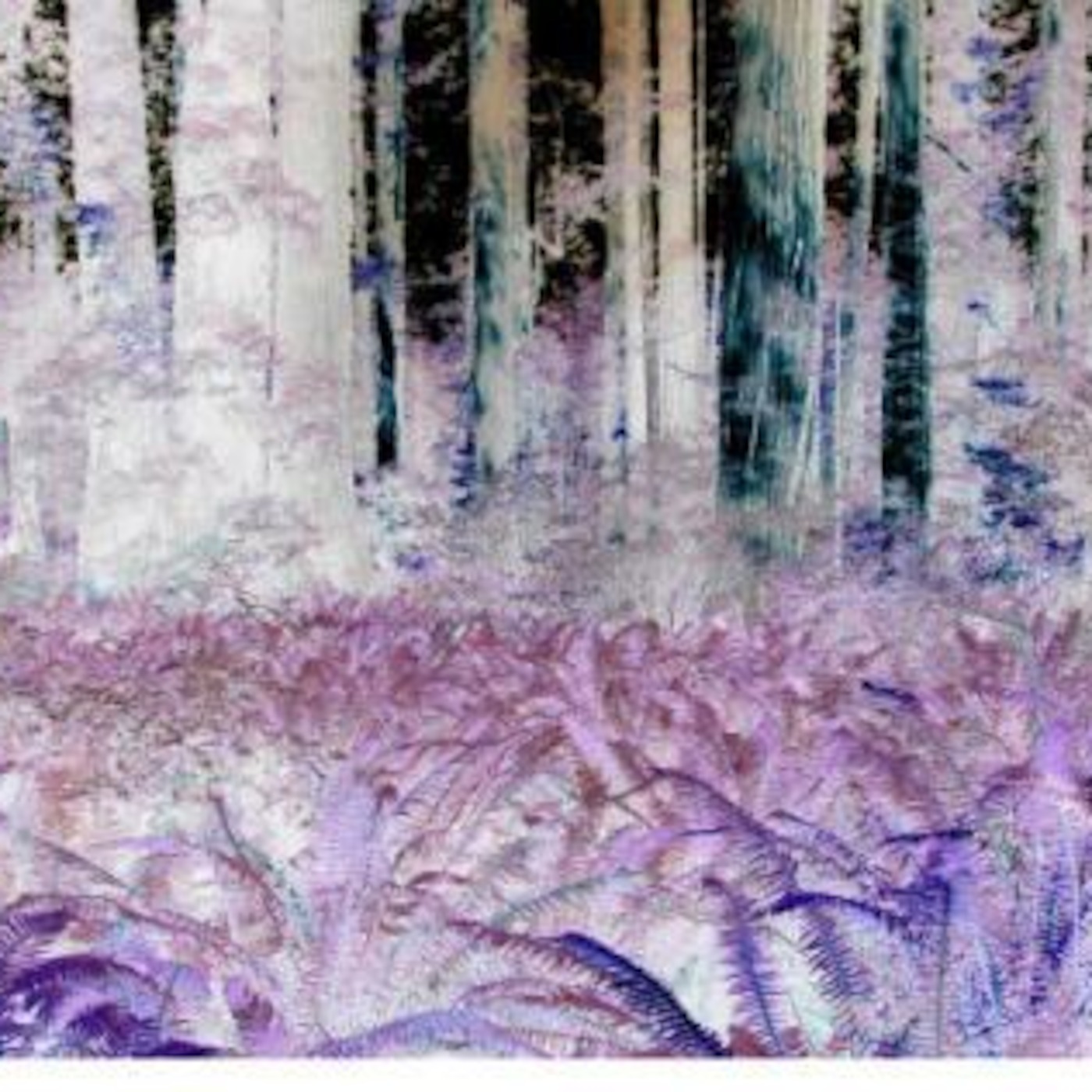 Endor Arthenca episode artwork