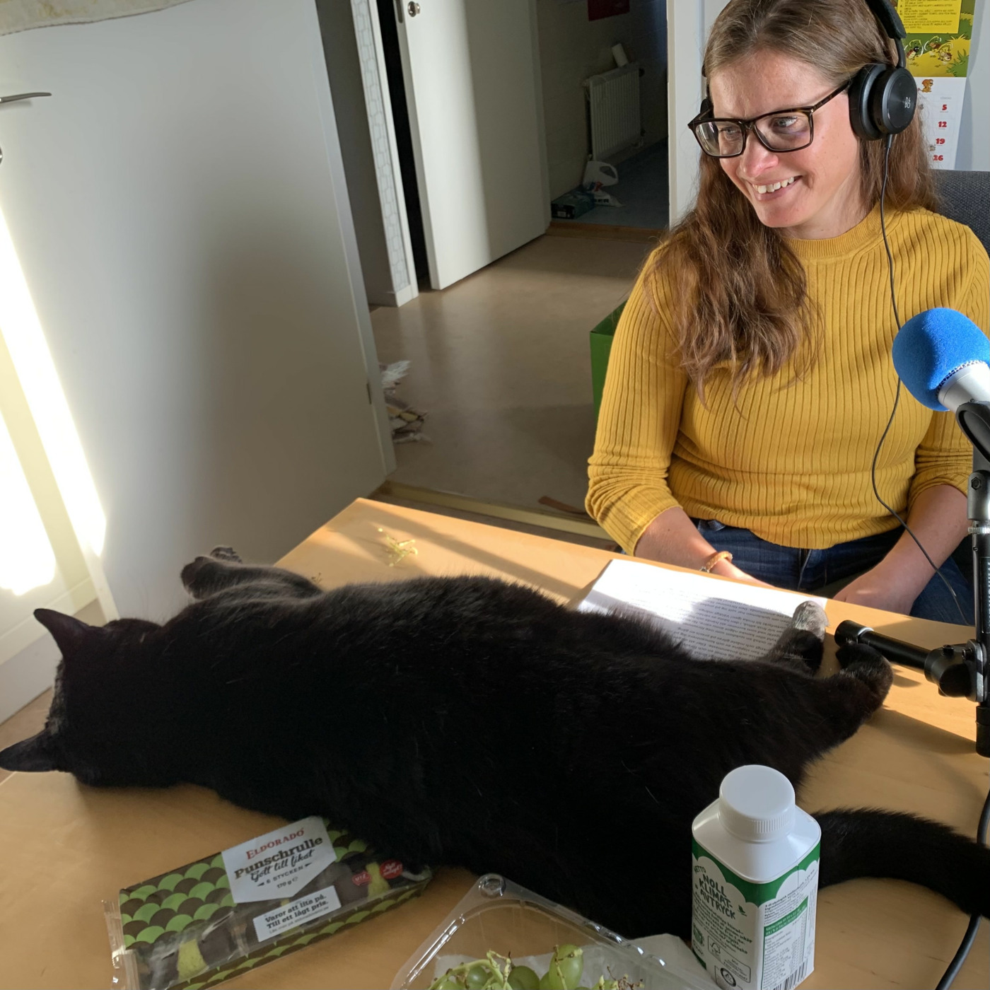 JanssonHultén\'s Podcast