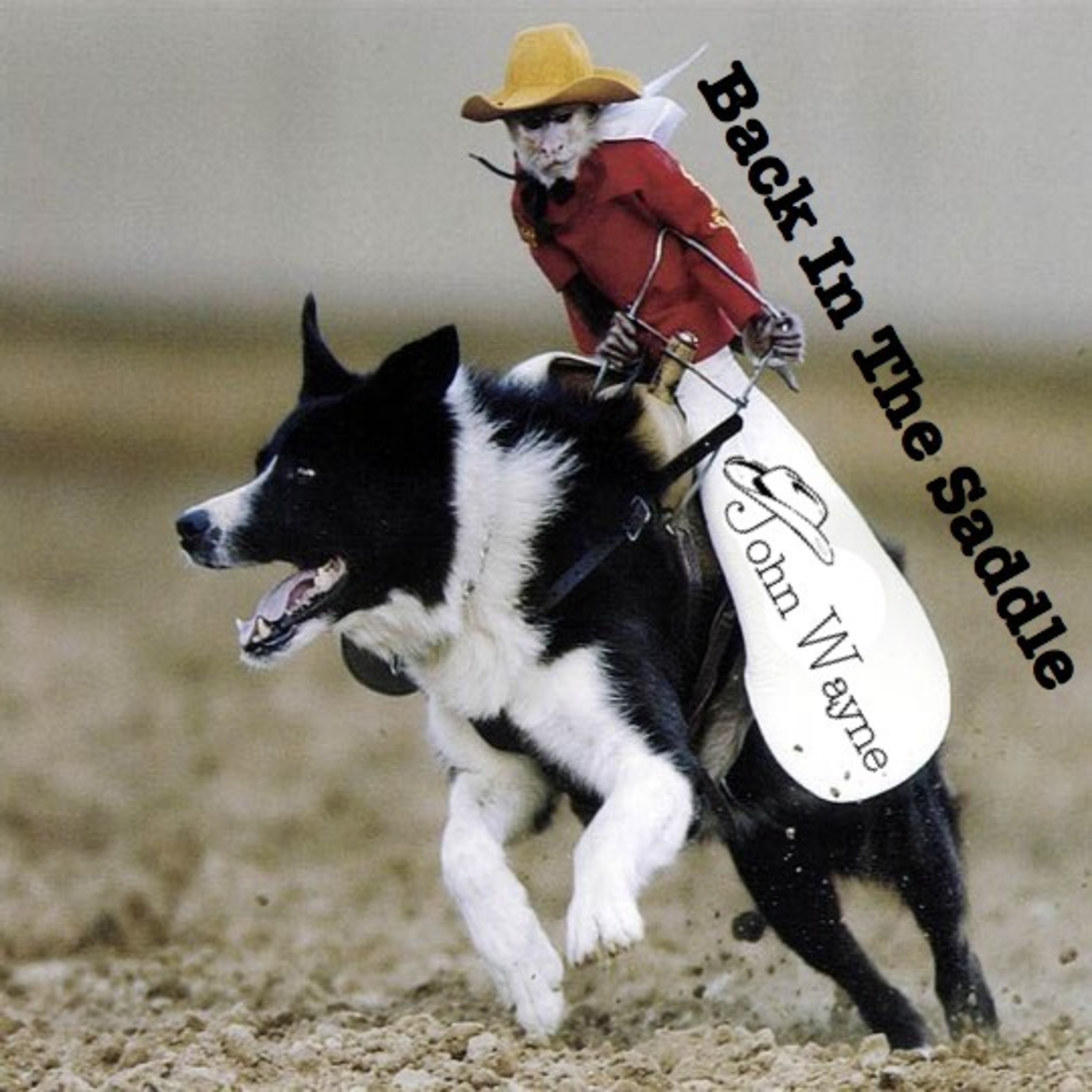 Back In The Saddle - Mixed By John Wayne episode artwork