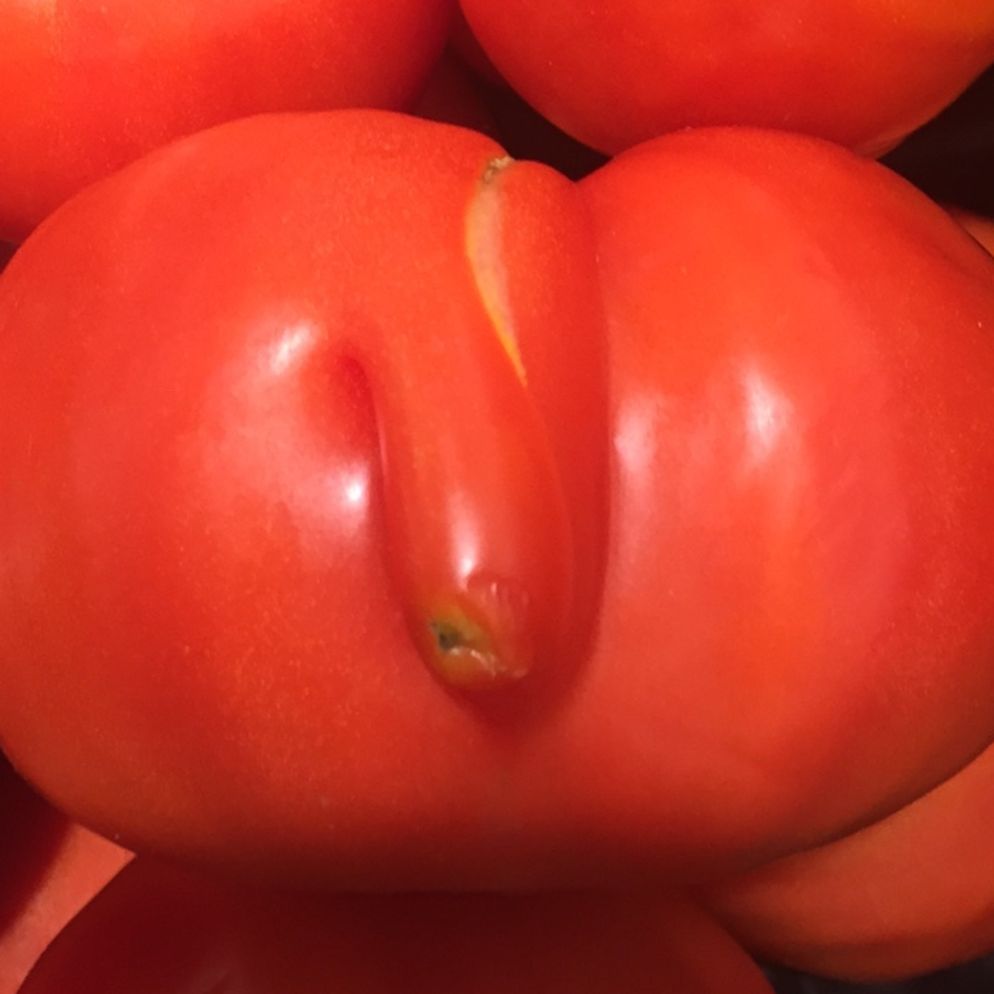 Episode 10: Ep. 10: Cheese (Part 3 of 3)