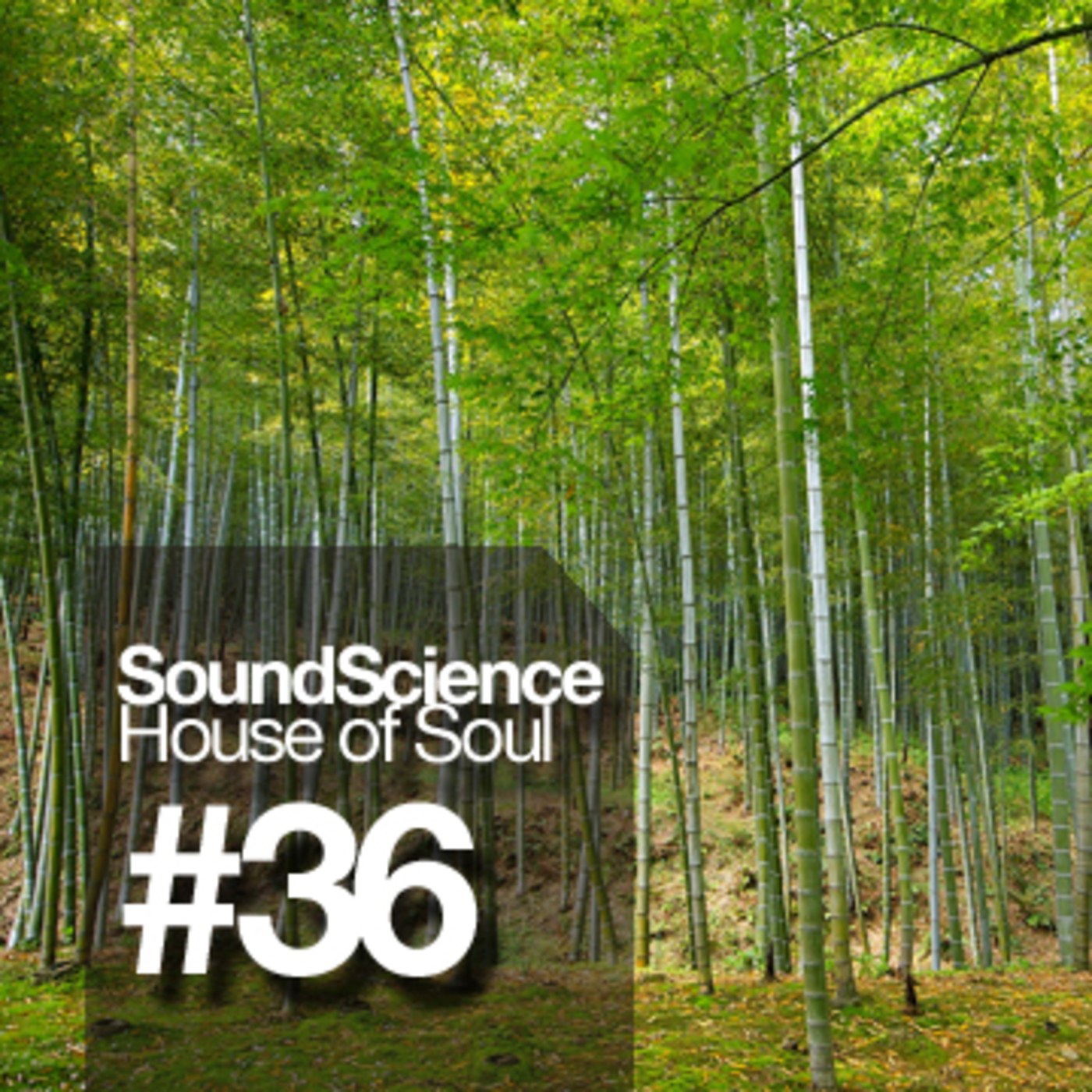 Capital Soul Sessions: Soulful, Deep, Underground House Music