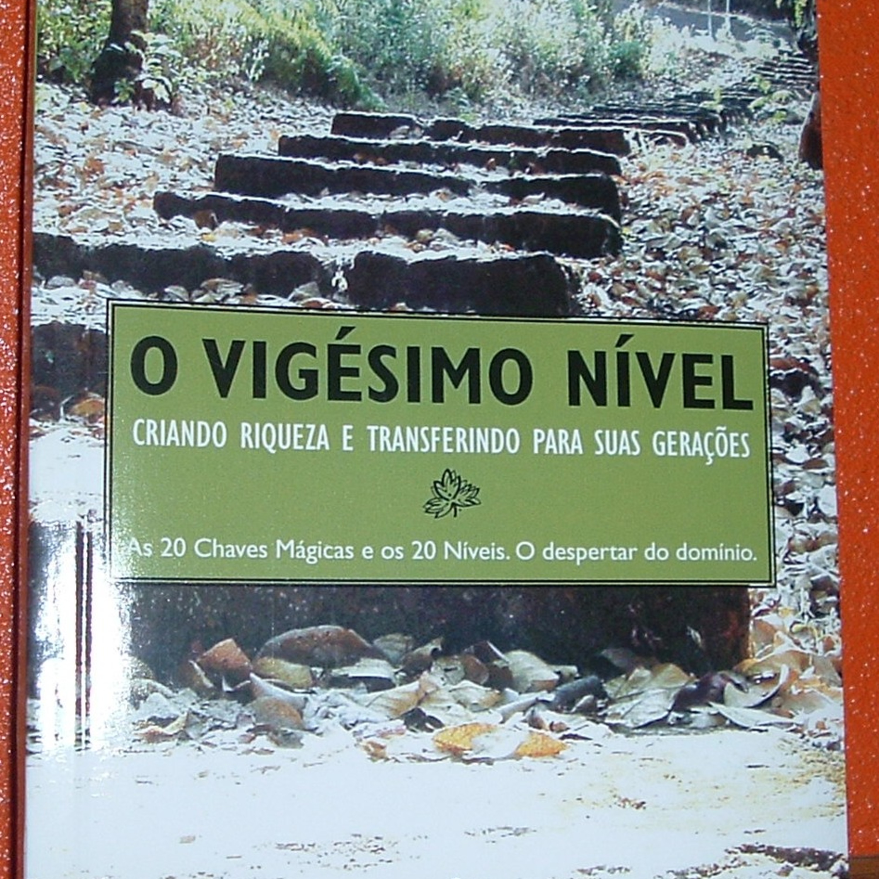 O Vigésimo Nível podcast artwork