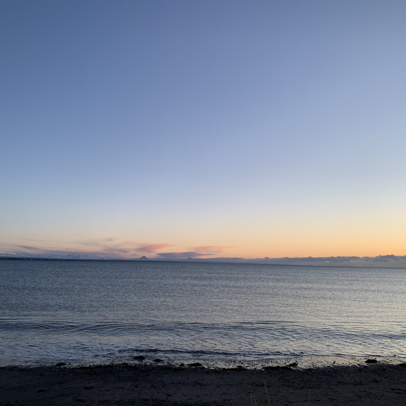 Positive Vibrations Reykjavik with Tommi White Podcast