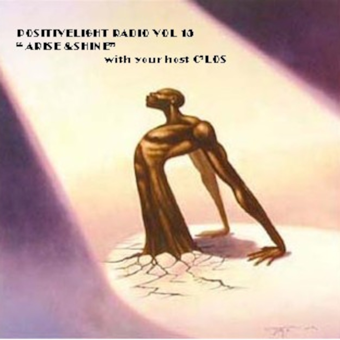 POSITIVELIGHT RADIO VOL 15 