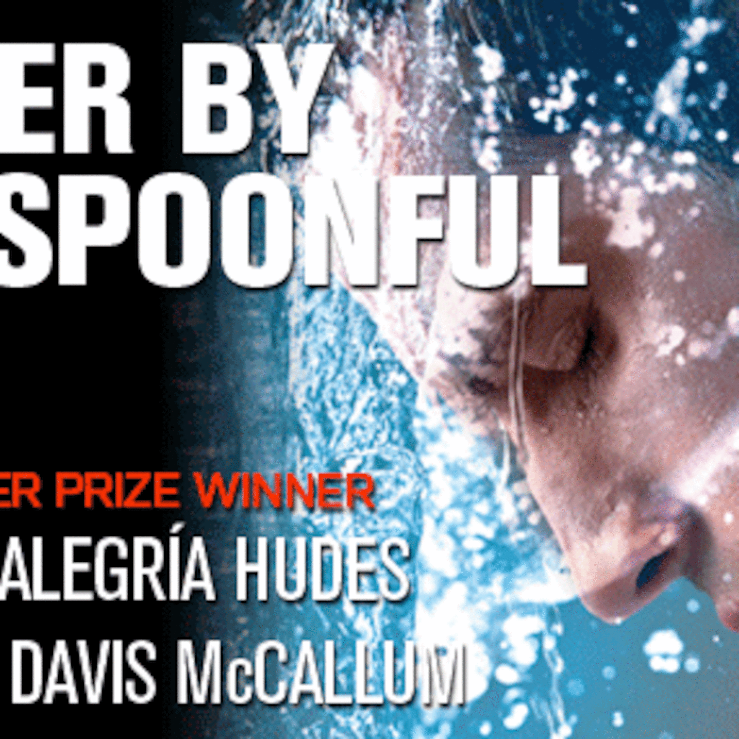 "Water by the Spoonful" Audience Talkback: December 15, 2012