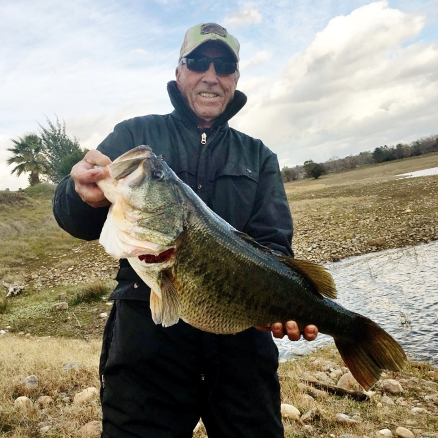 #125, November 14, 2018