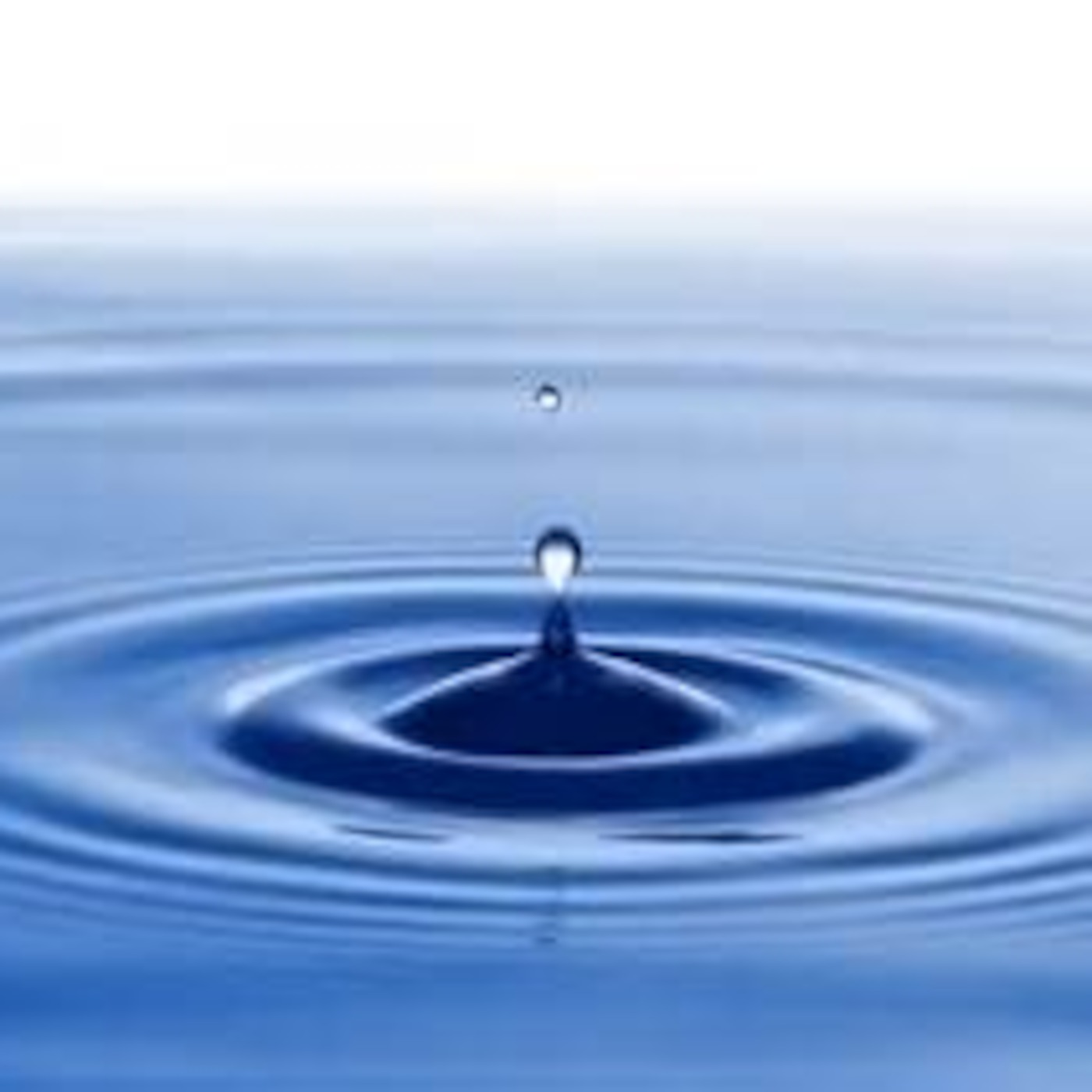 MNJR 24: The Law of Vibration