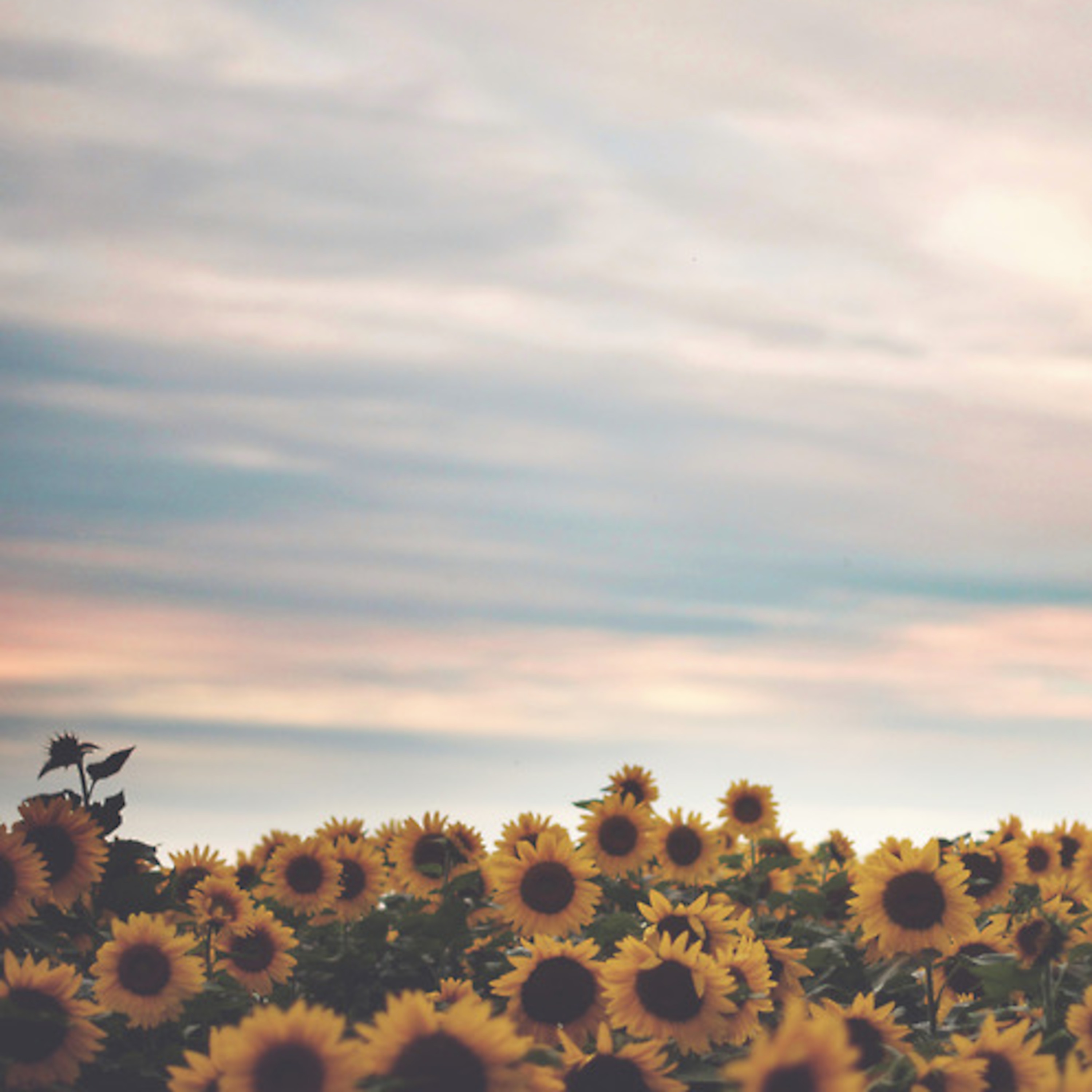 Joel Garcia's Podcast