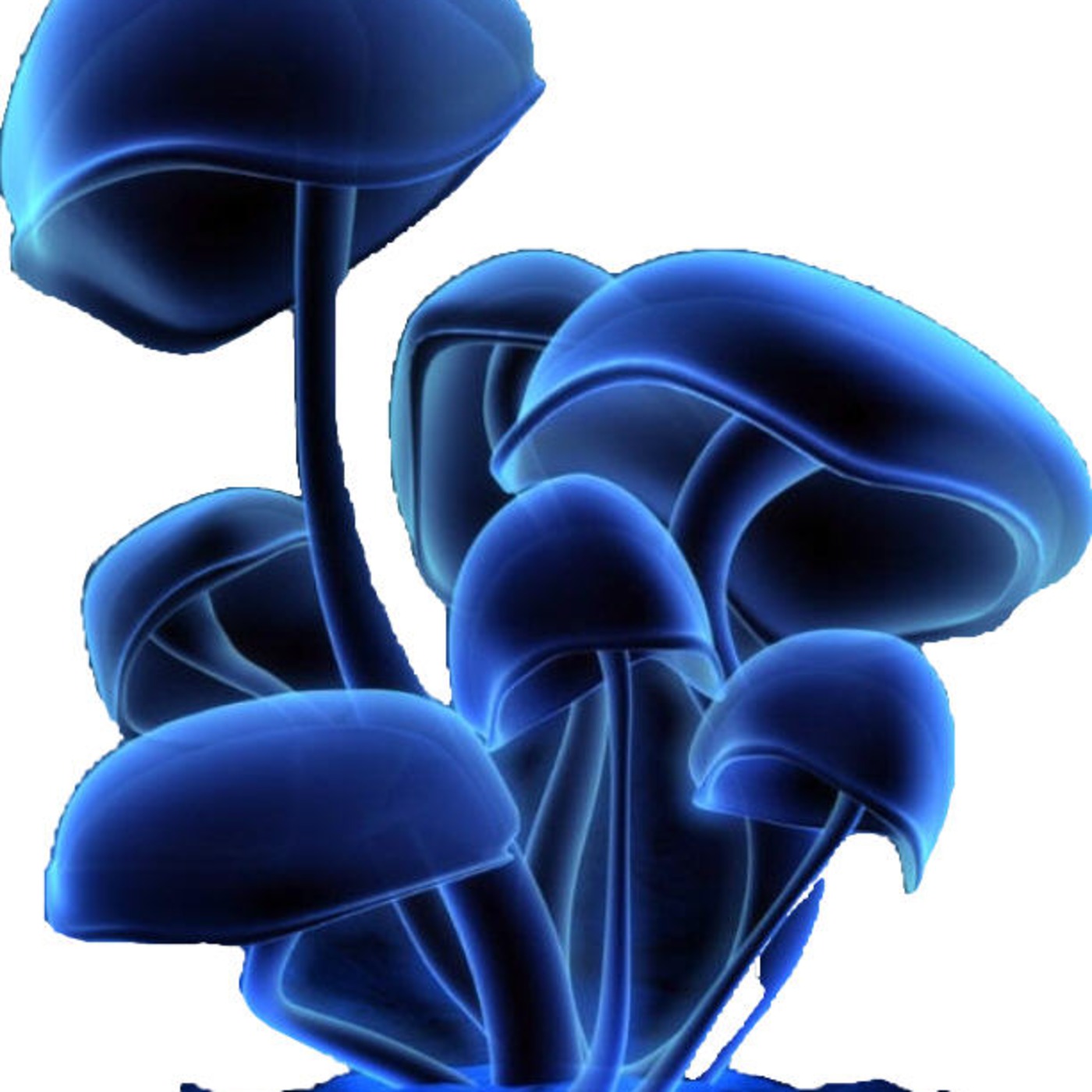 MAGICMUSHROOMS episode artwork