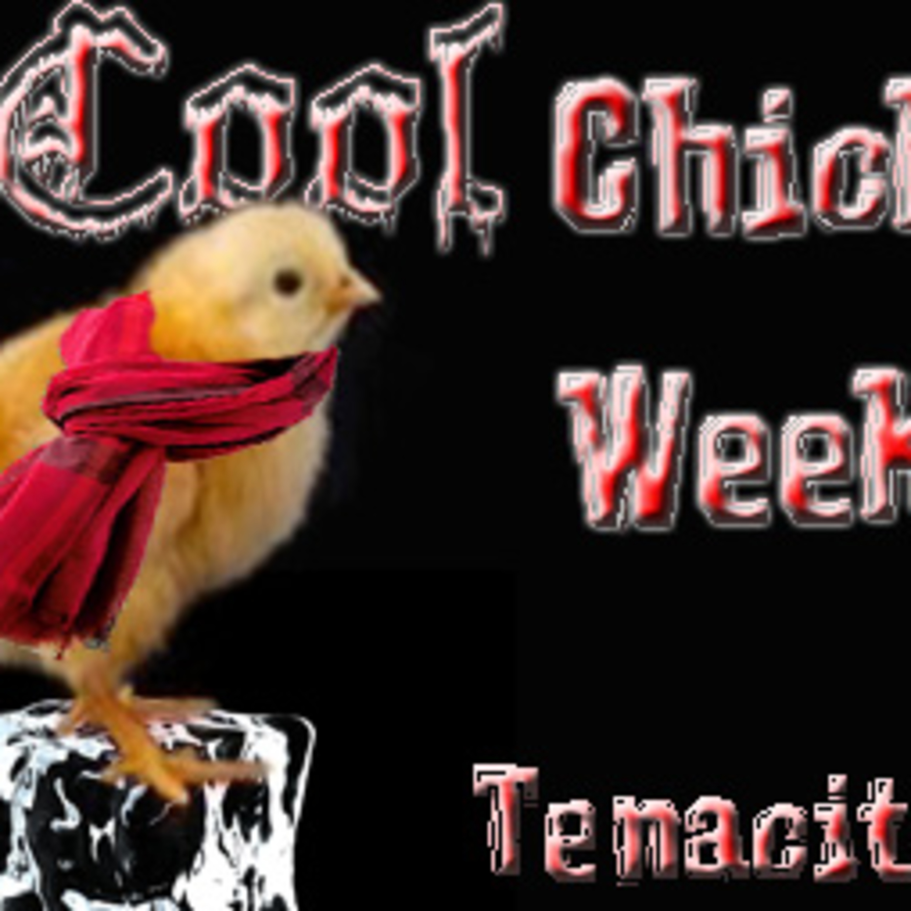 Cool Chick Radio