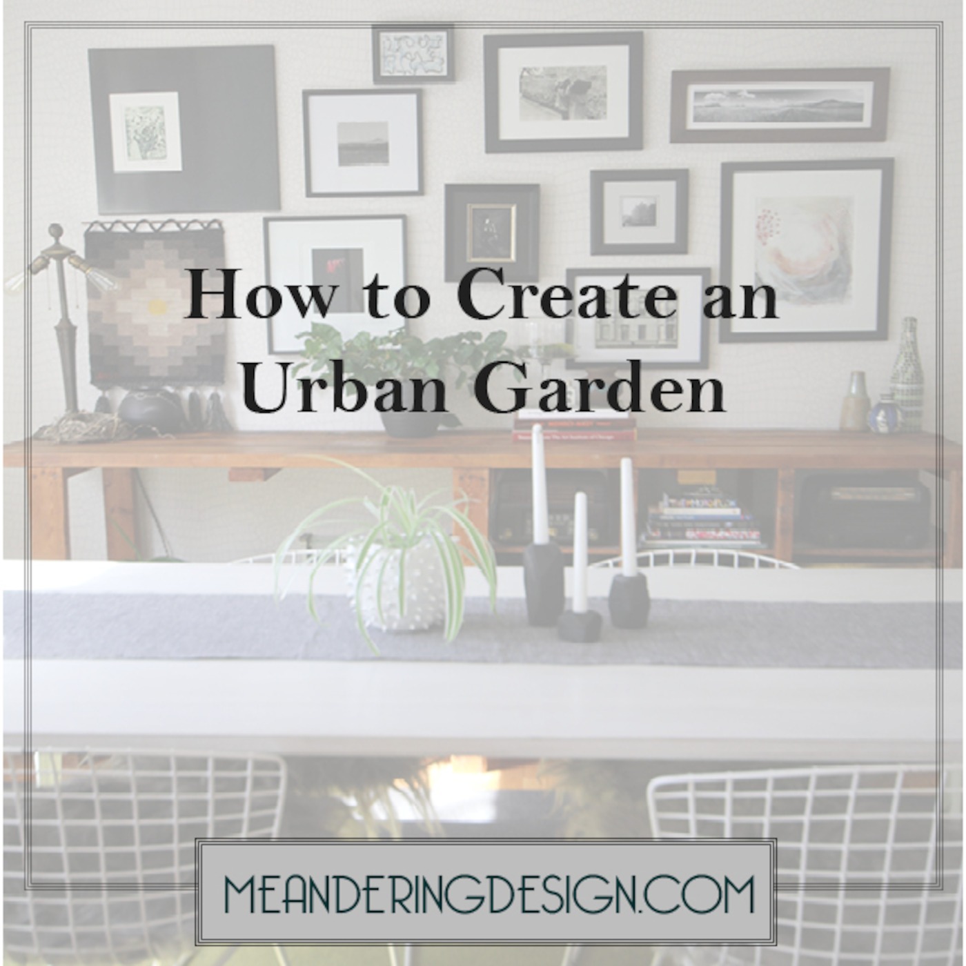 How to Create an Urban Garden