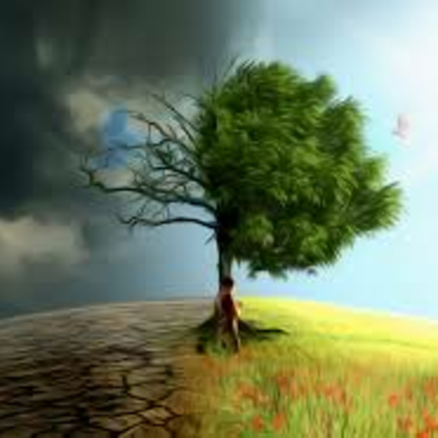 Episode 257: Time and Gratitude