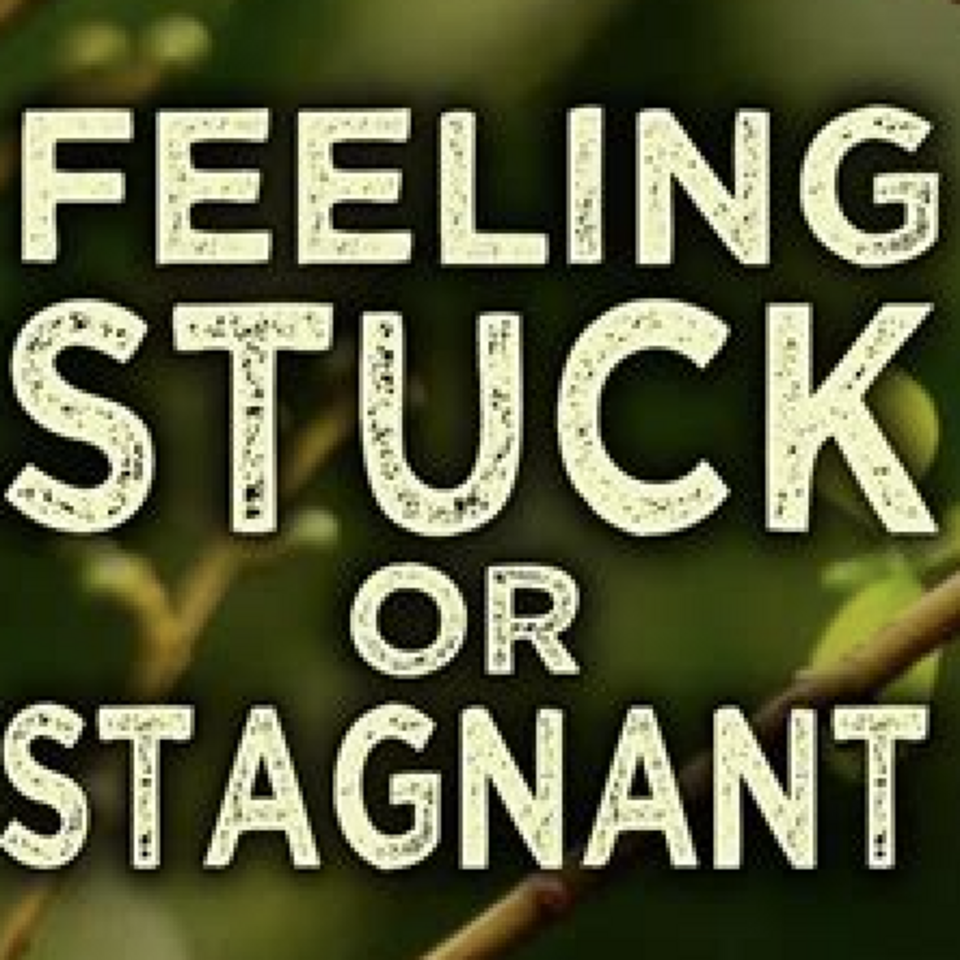 Episode 6: 005 Stale, Stagnant, & Stuck
