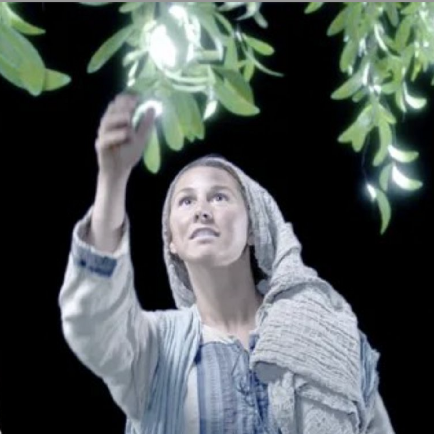 Episode 28: 024 The Fruit of the Tree of Life