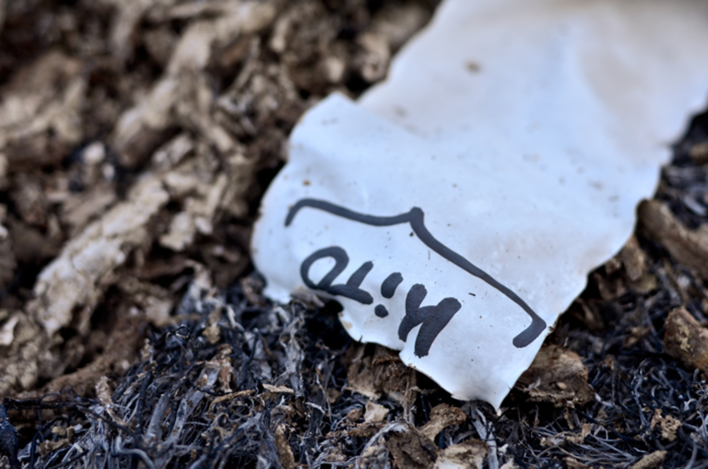 Bouddhisme et méditation - www.dailyzen.fr