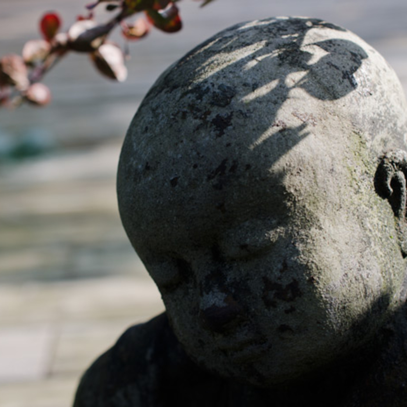 Bouddhisme et méditation - www.dailyzen.fr