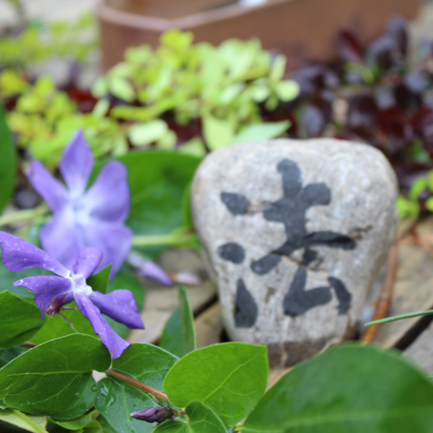 Bouddhisme et méditation - www.dailyzen.fr