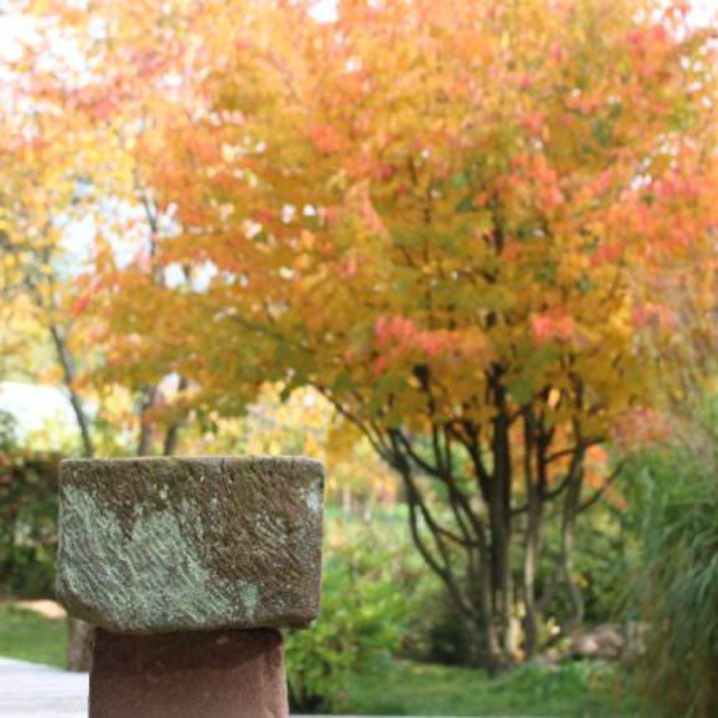 Bouddhisme et méditation - www.dailyzen.fr
