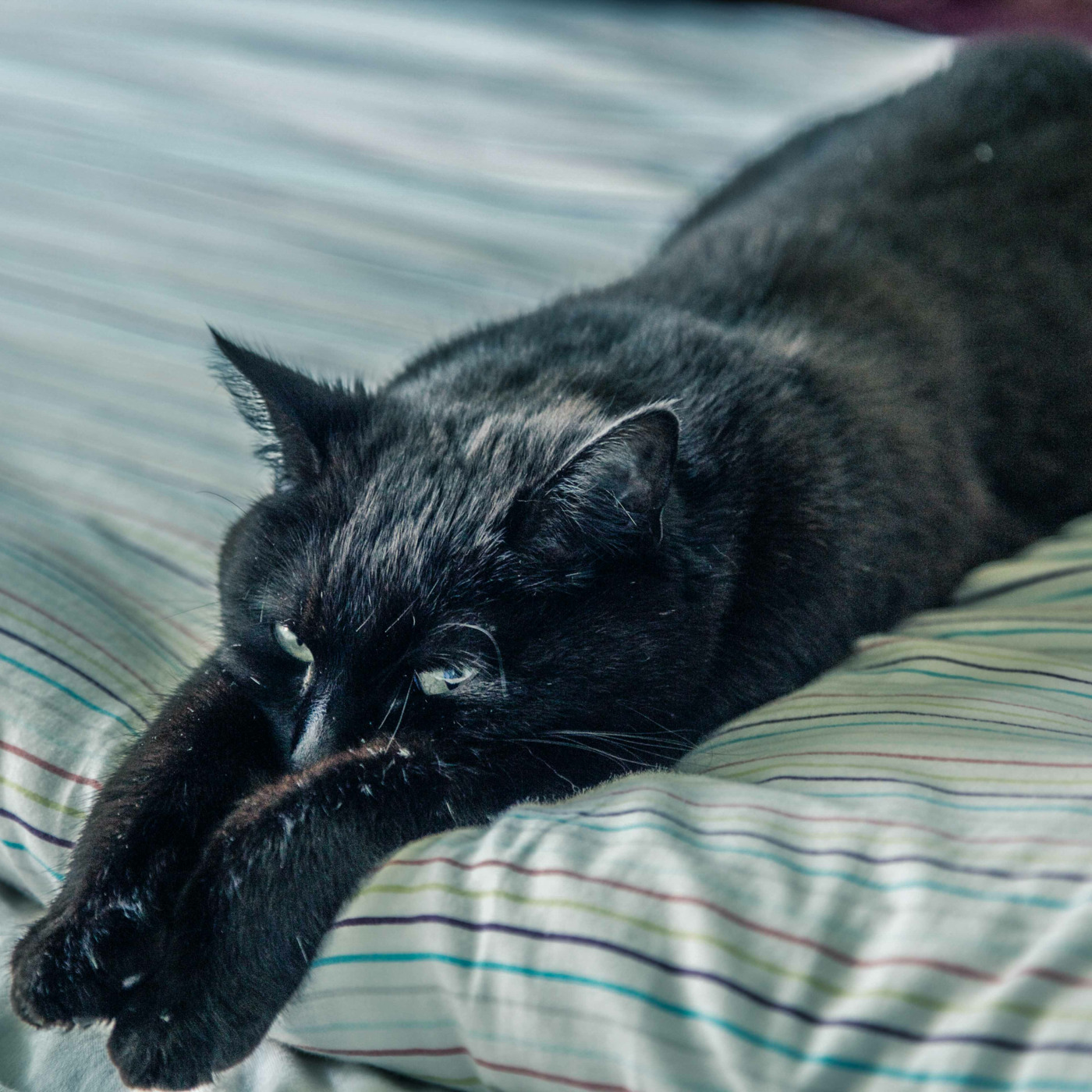 Bouddhisme et méditation - www.dailyzen.fr