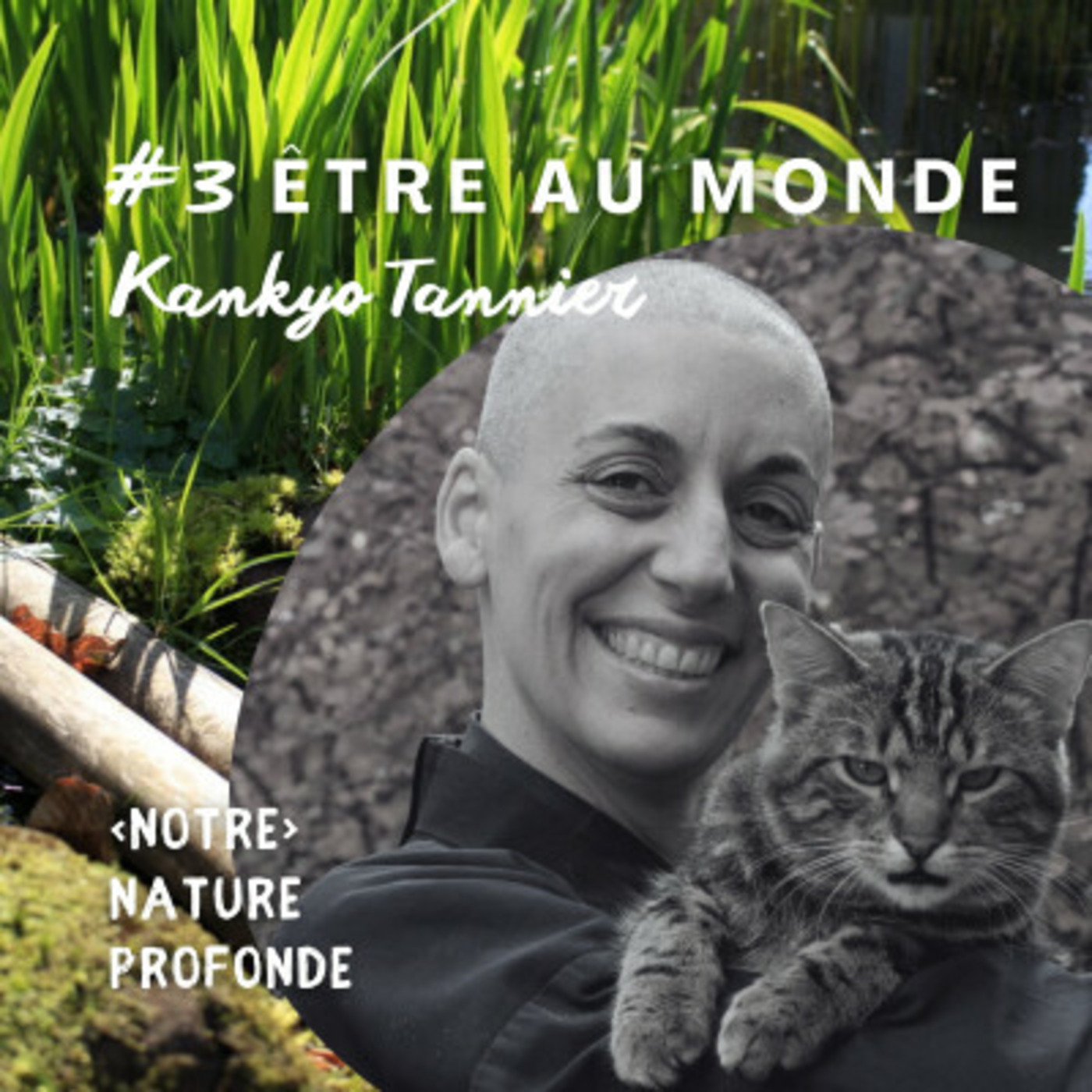 Bouddhisme et méditation - www.dailyzen.fr