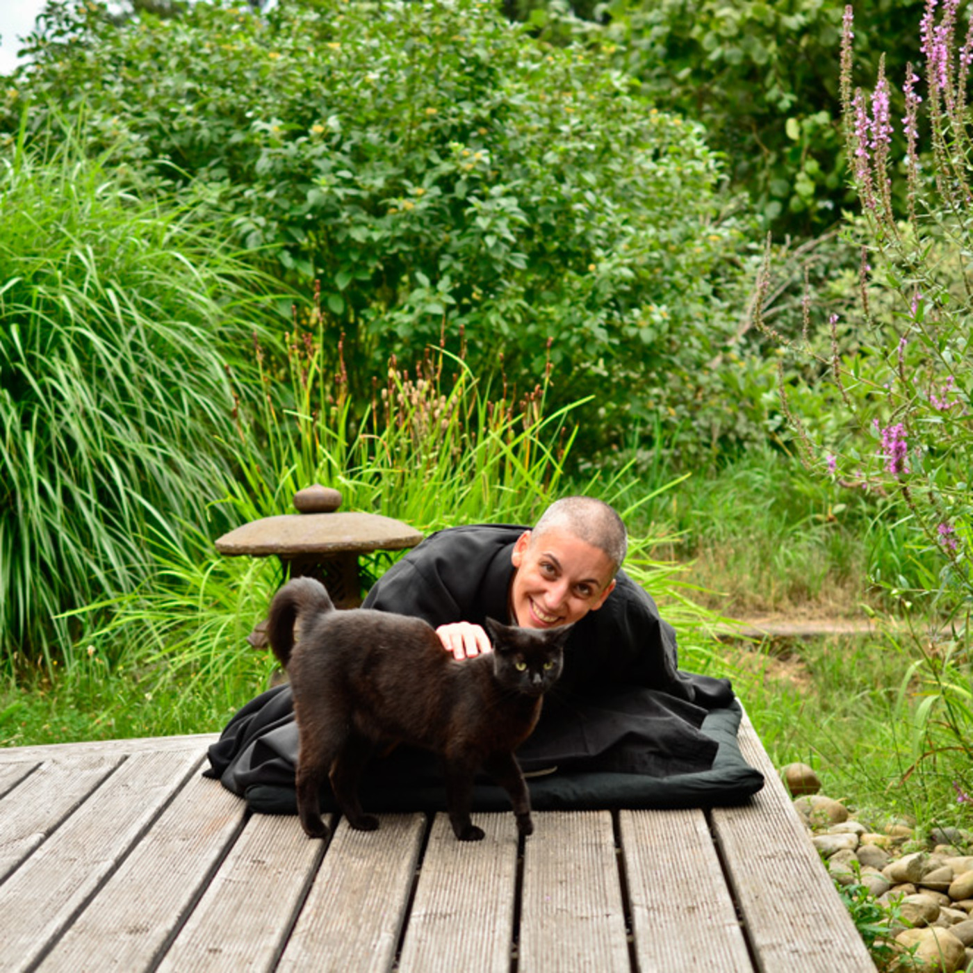 Bouddhisme et méditation - www.dailyzen.fr