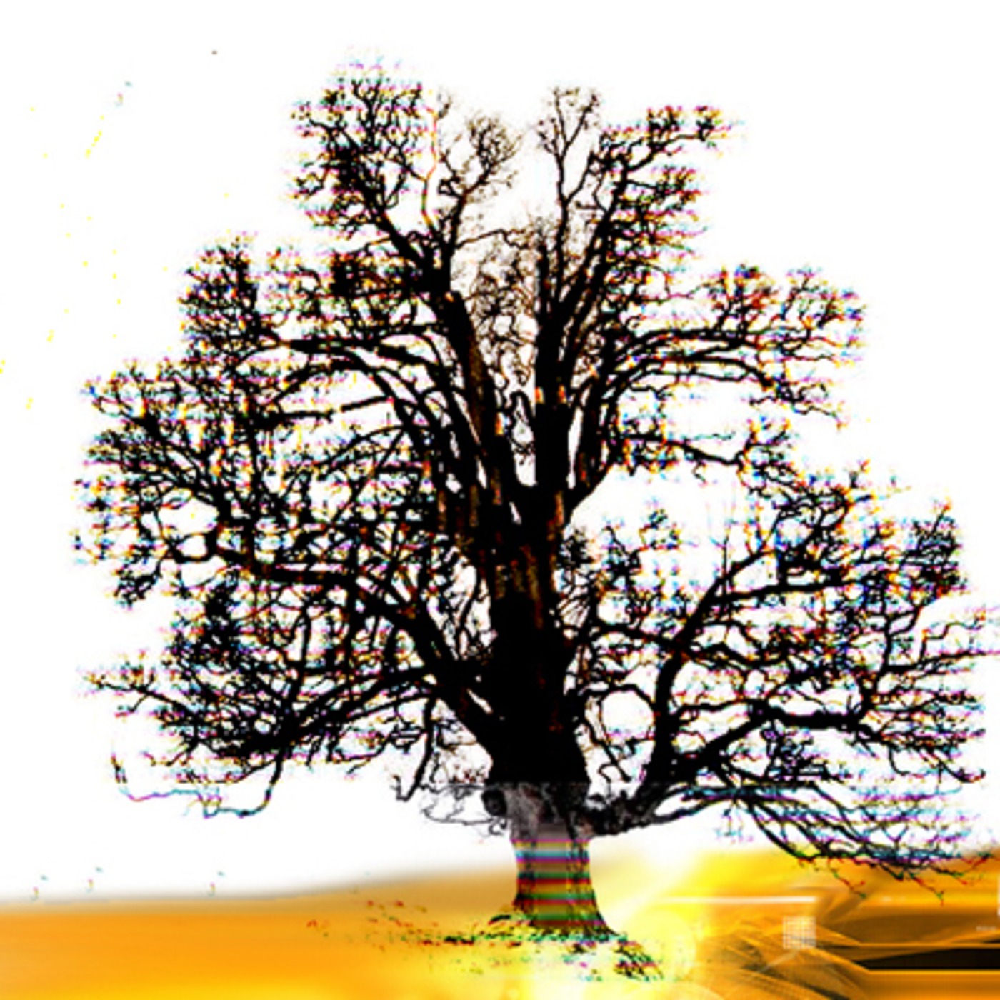 TRAVASSOS