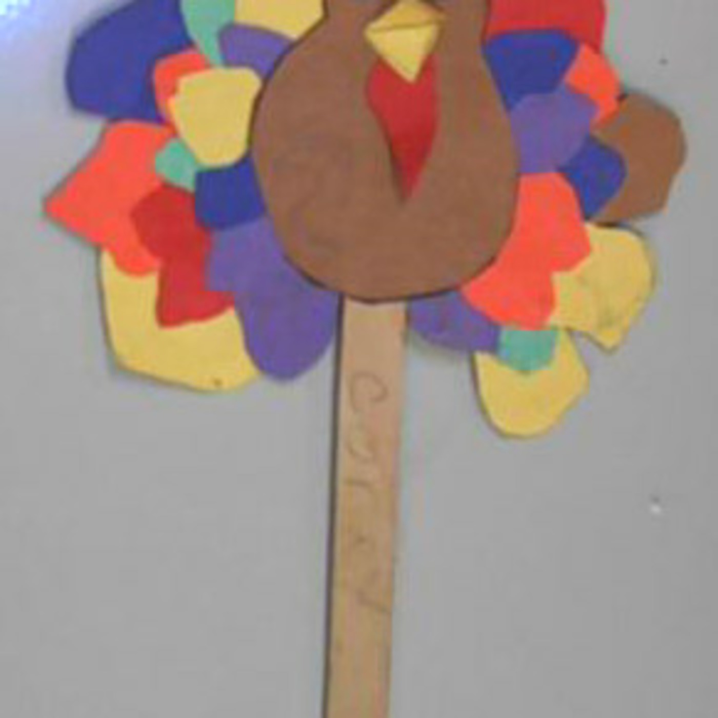 Kassandra's Turkey Talk