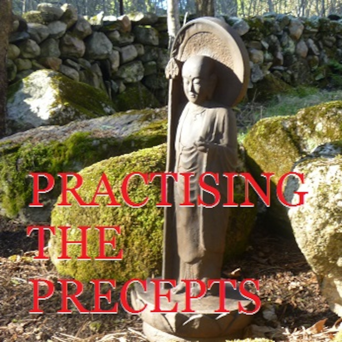 Practising the Precepts episode artwork