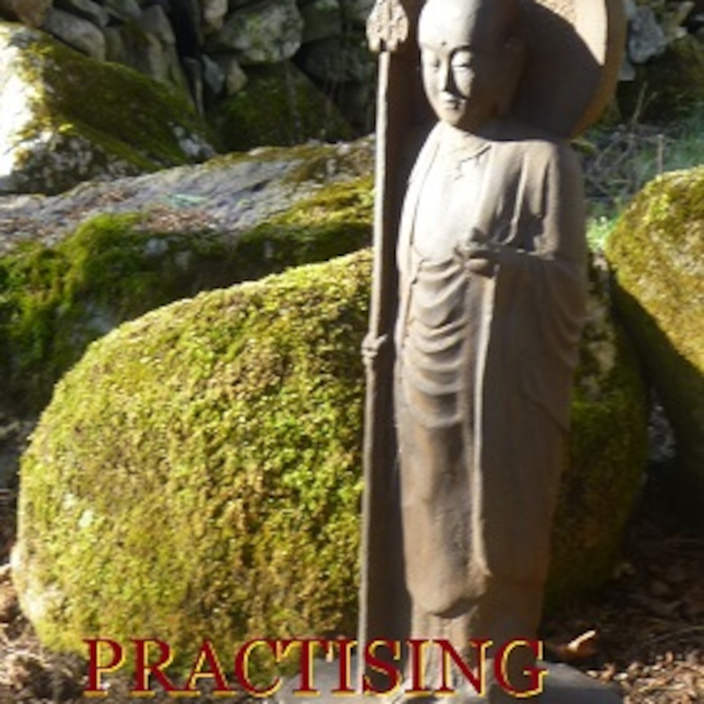 Precepts 5 : Avoiding Poisons episode artwork