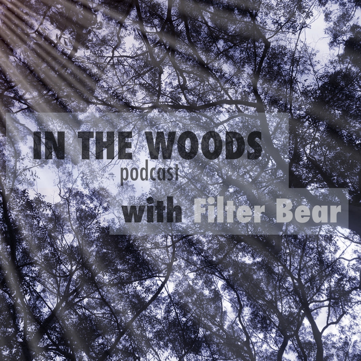 In The Woods with Filter Bear