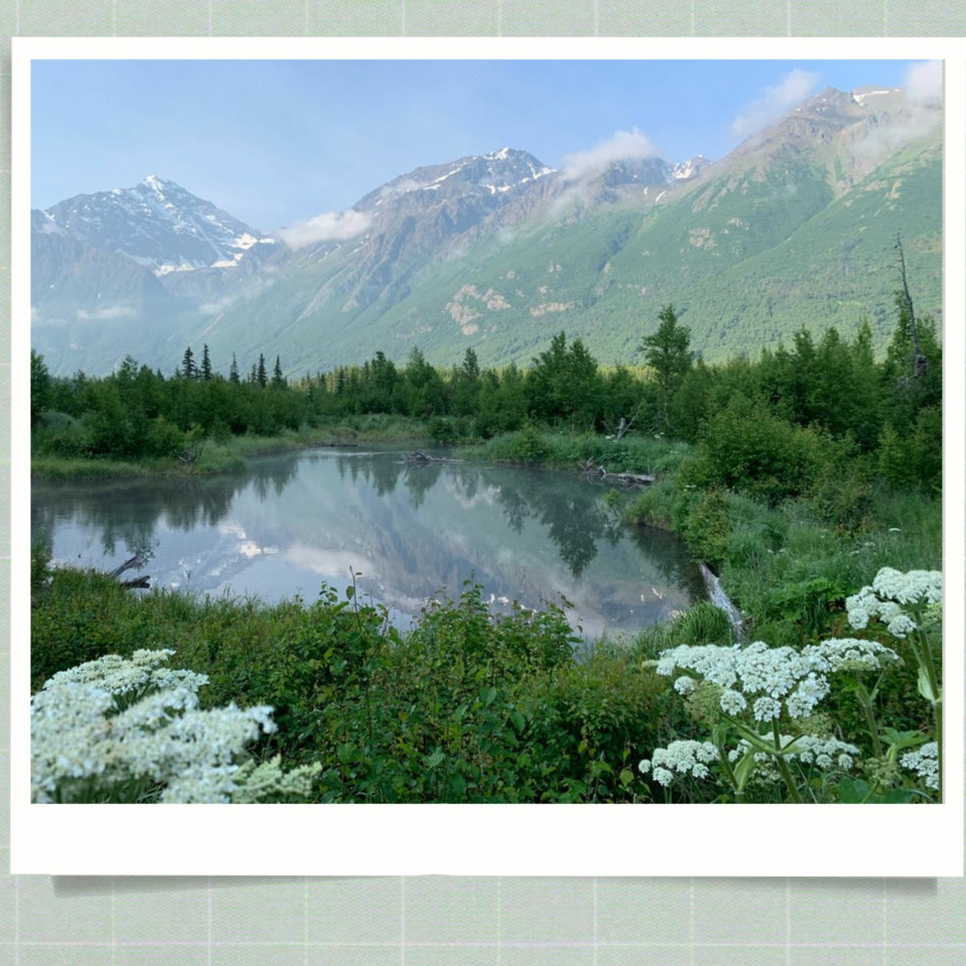 Heidi Blair Alaska