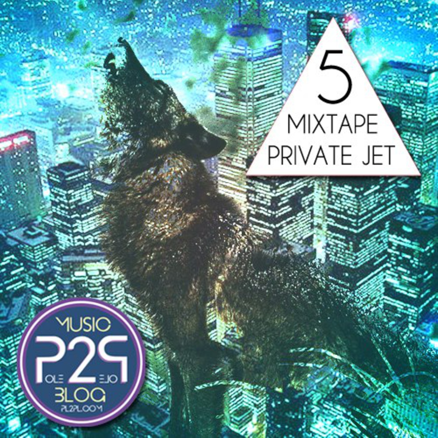 Pole 2 Pole - Private Jet Mixtape V.5 by PΔSHΔ episode artwork