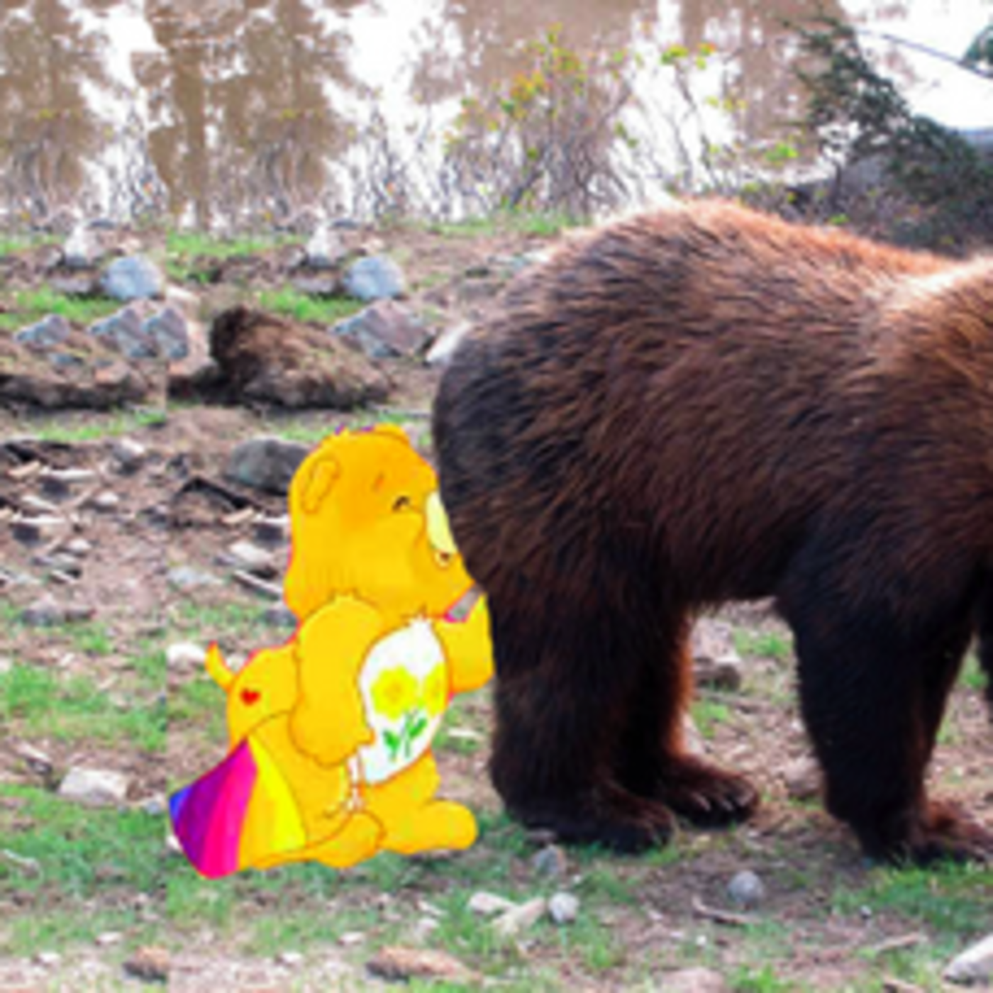 Episode #24: Care Bear meets the Grizzly Bear episode artwork