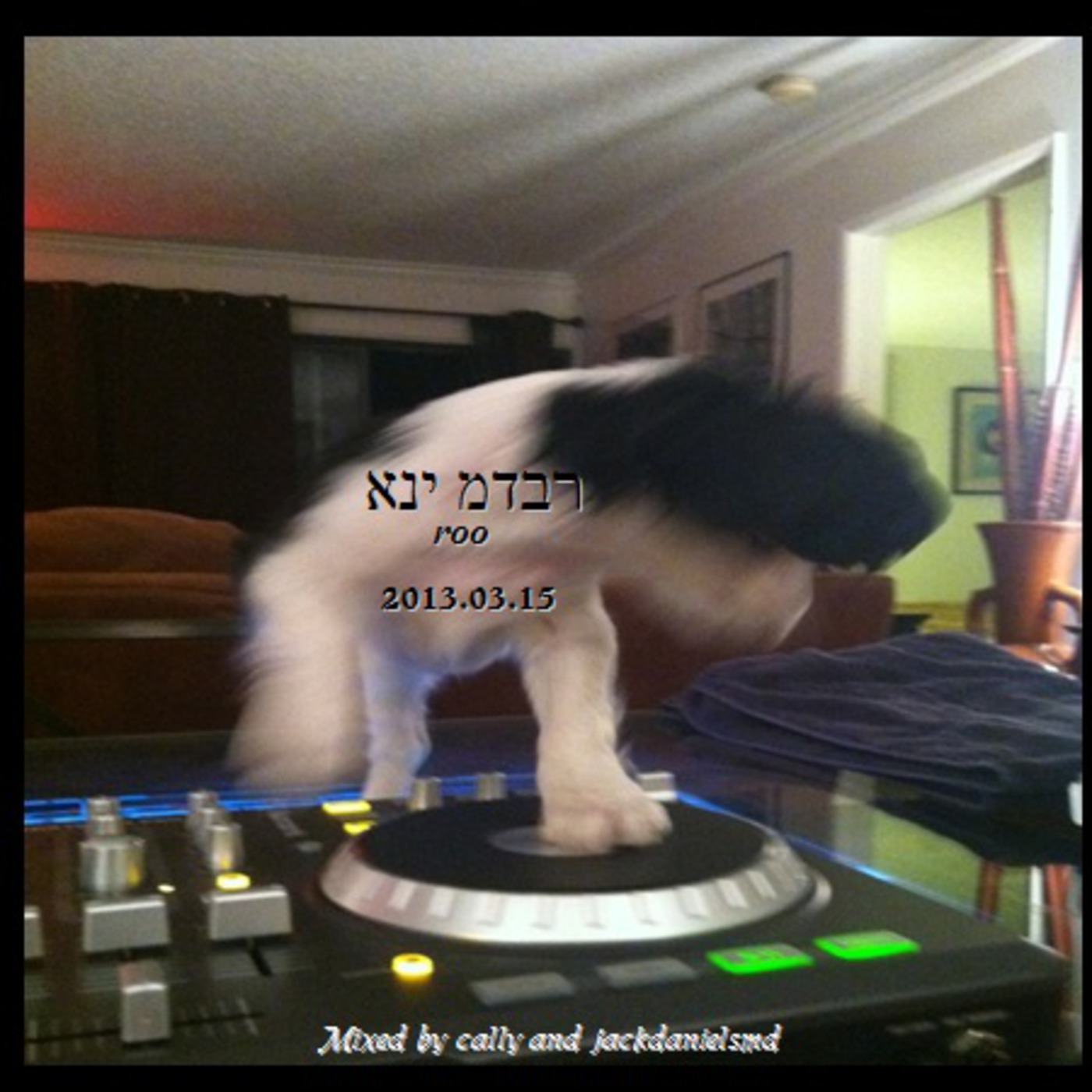 MIX022 2013.03.15 - roo