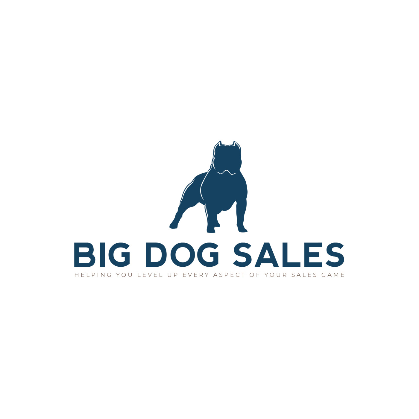 Episode 1: Welcome to the Big Dog Sales Podcast